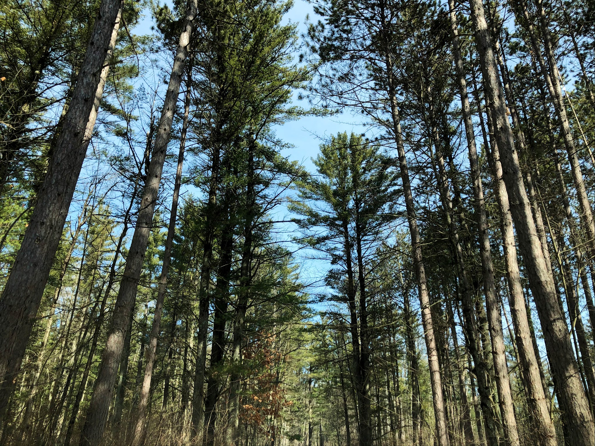 Council Grounds State Park