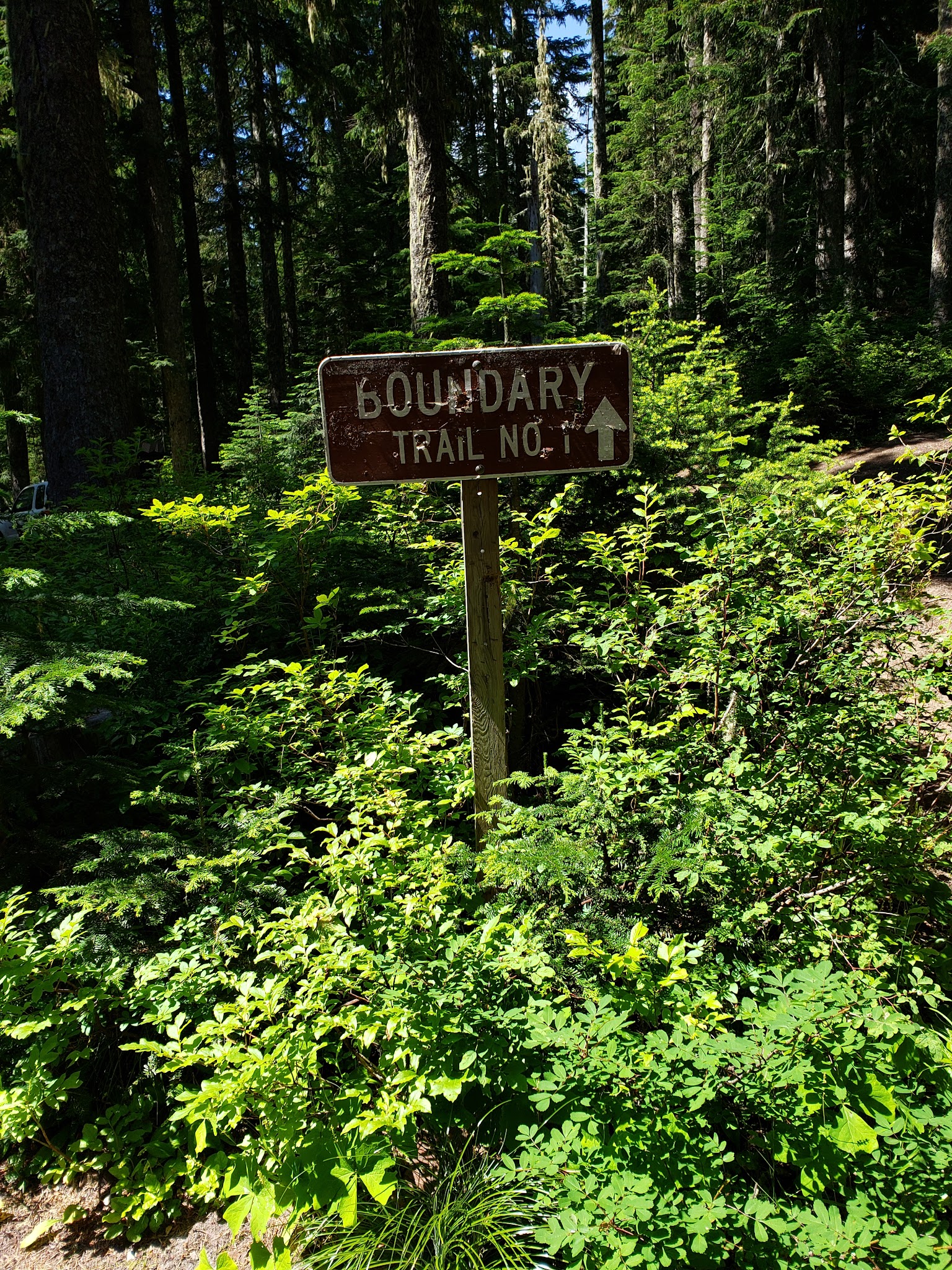 Campground: Twin Falls