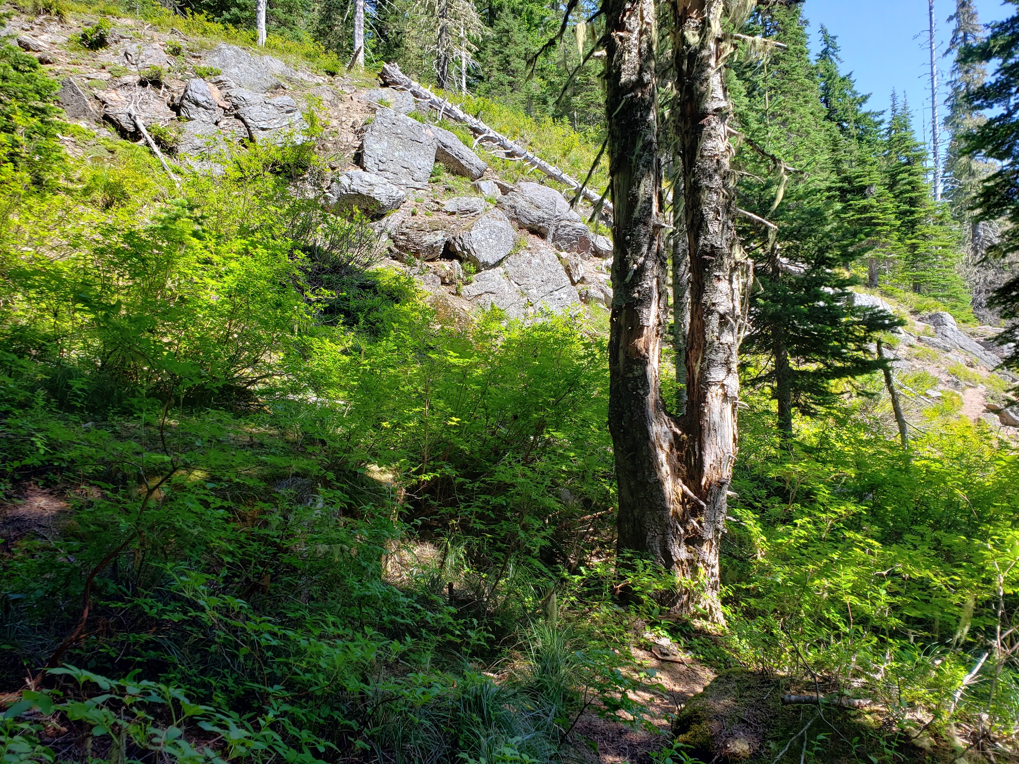 Campground: Twin Falls