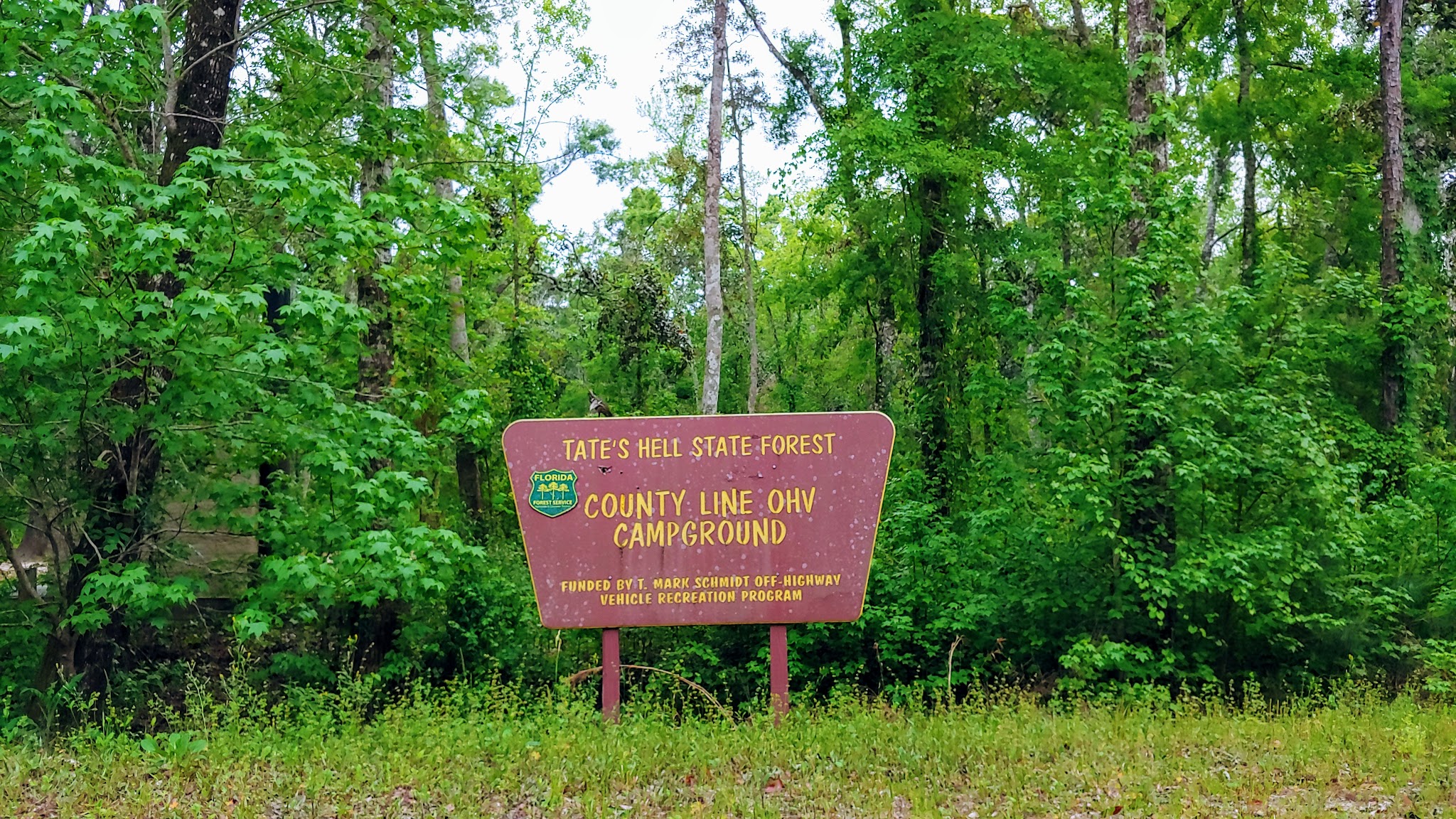 Tate&Apos;S Hell State Forest County Line Ohv Campground