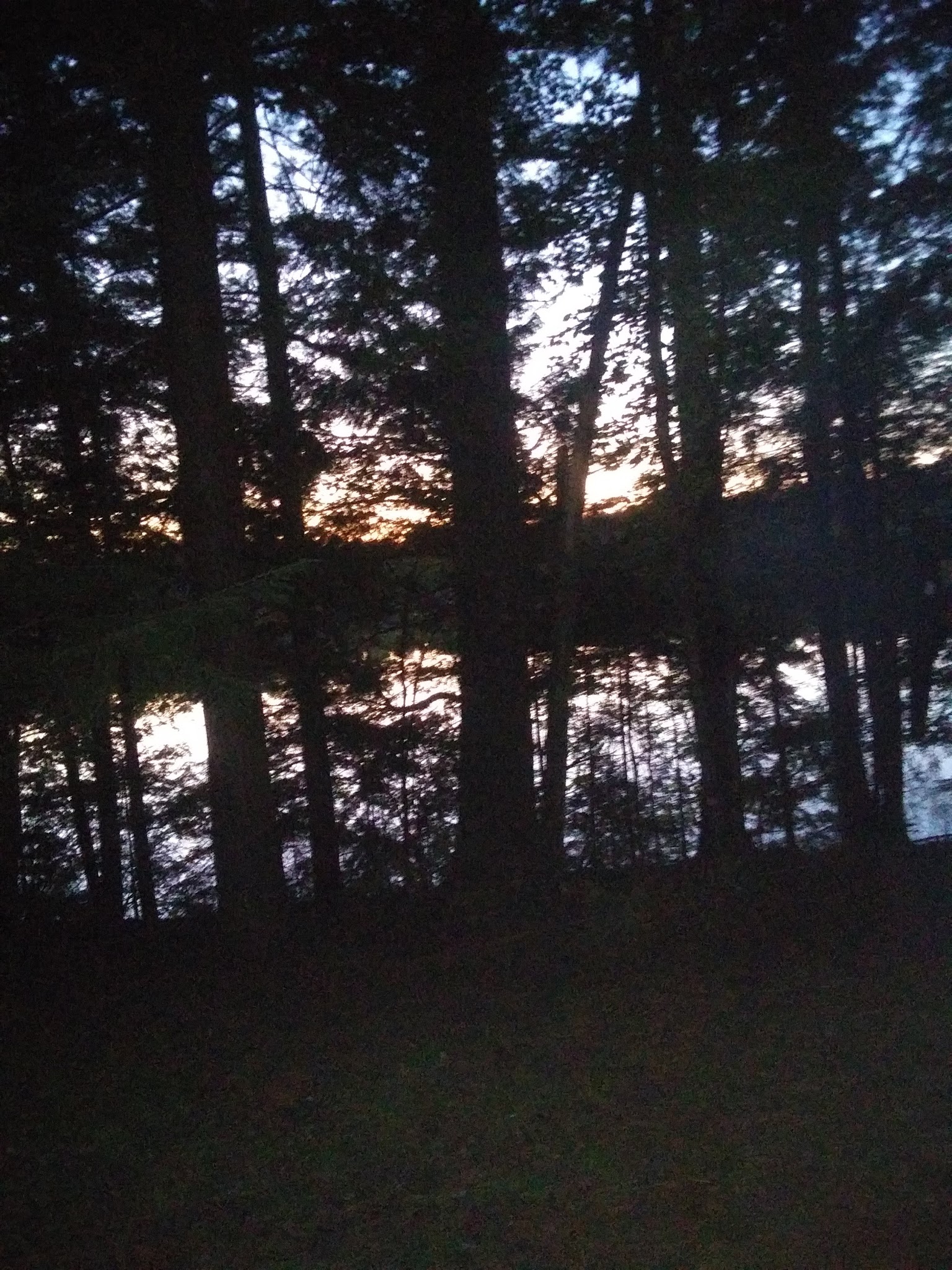 Courtney Lake Campground