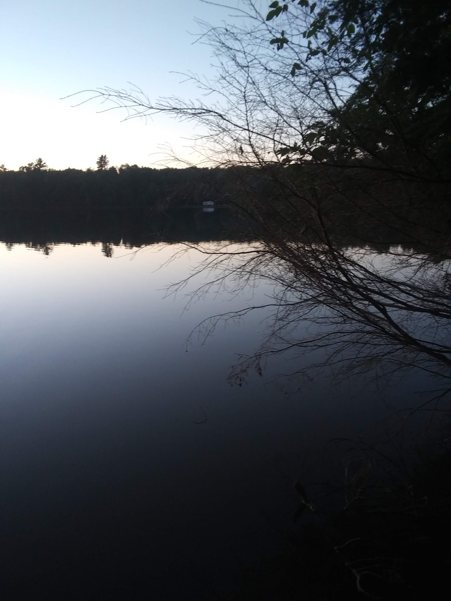 Courtney Lake Campground