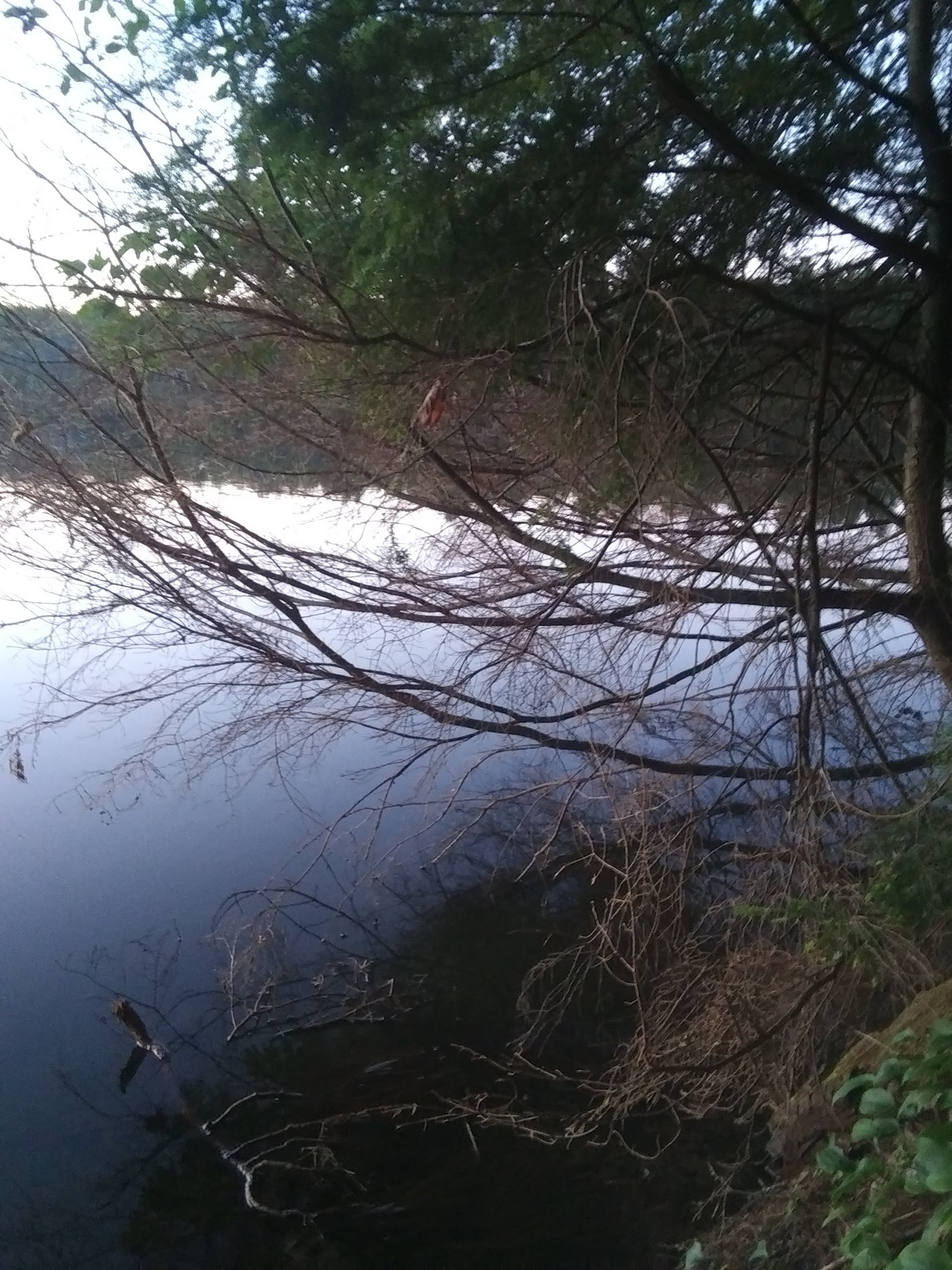 Courtney Lake Campground