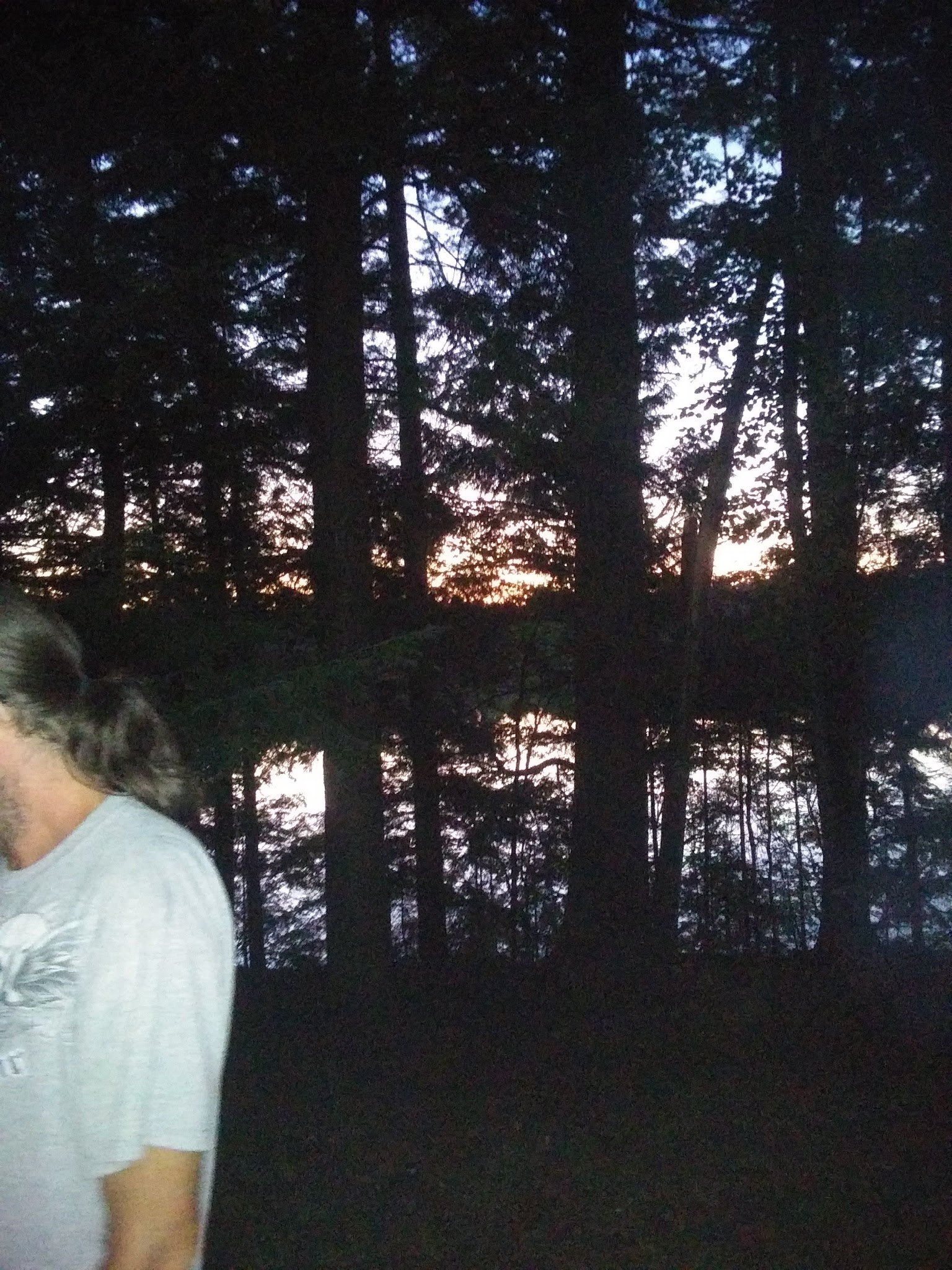 Courtney Lake Campground