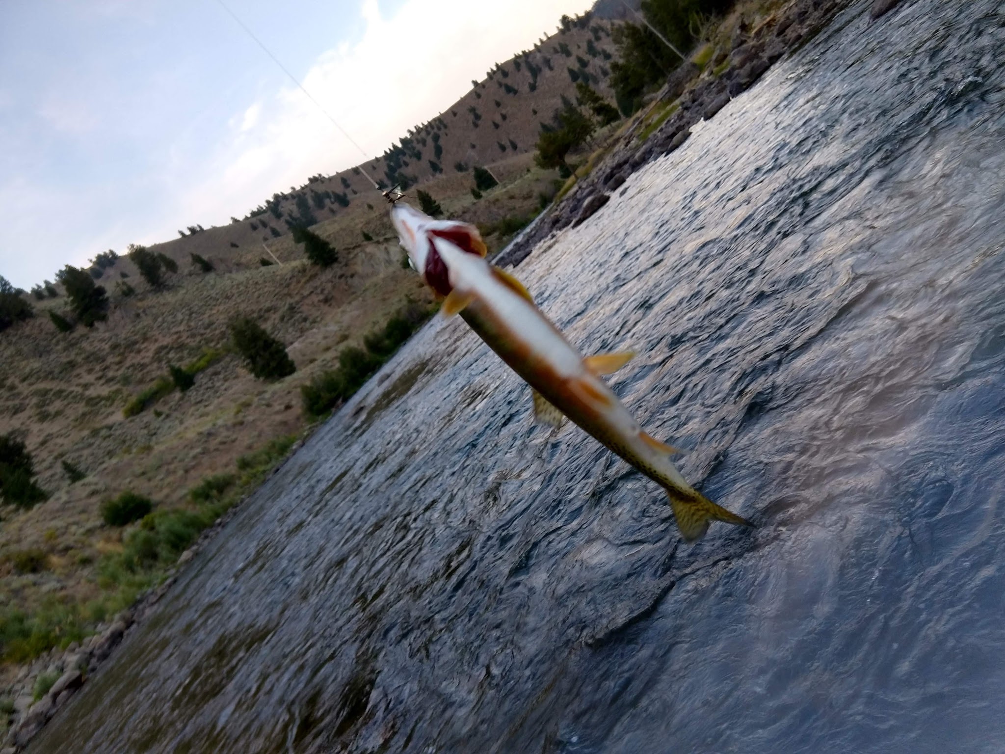 Jerry'S Creek Camping Area