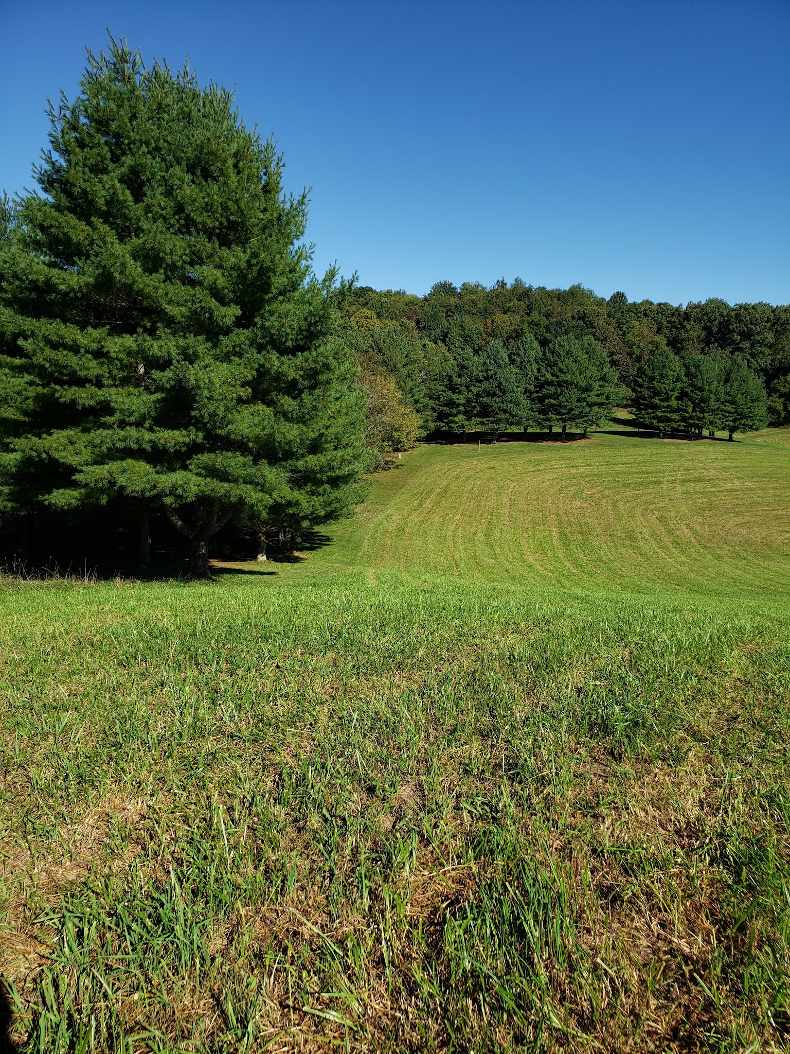 Cove View Campground