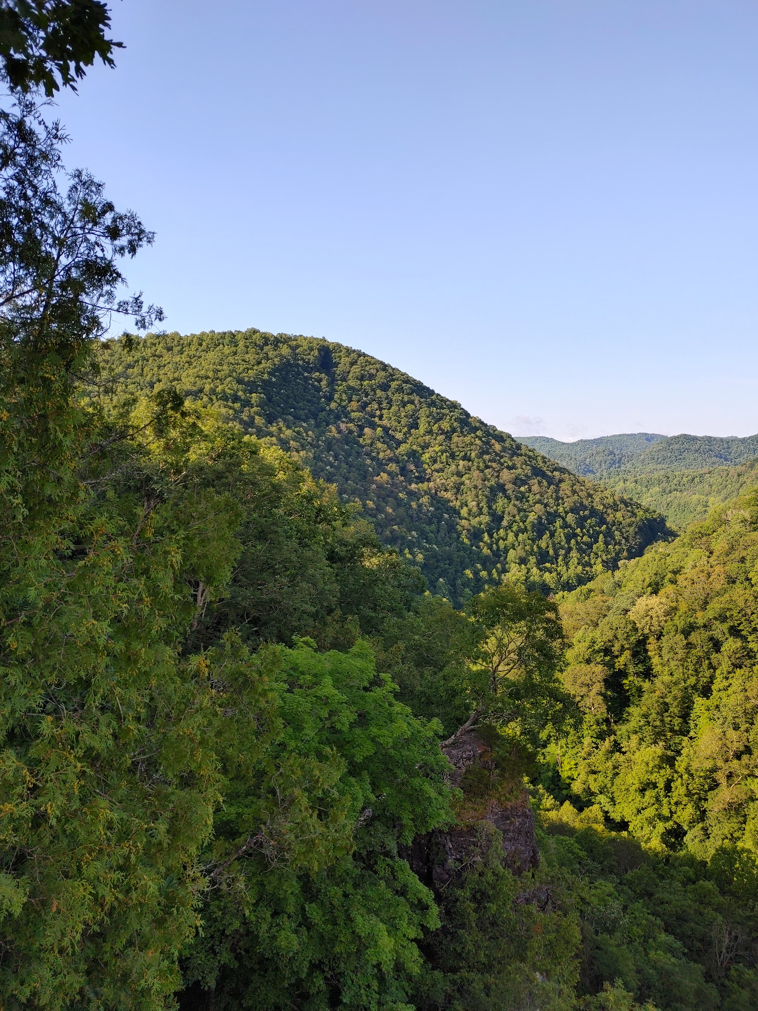Cove View Campground