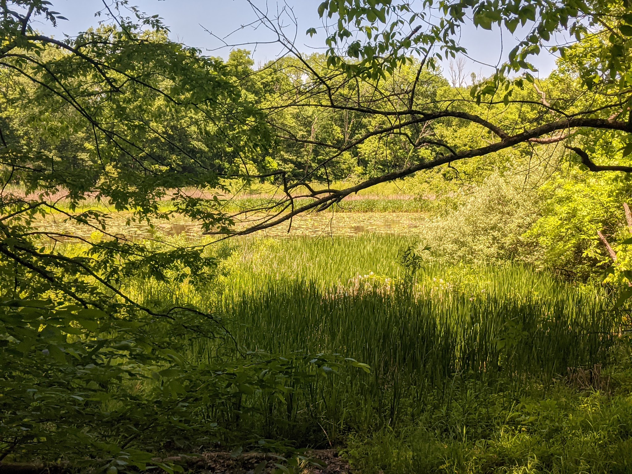 Cowan Lake Campground