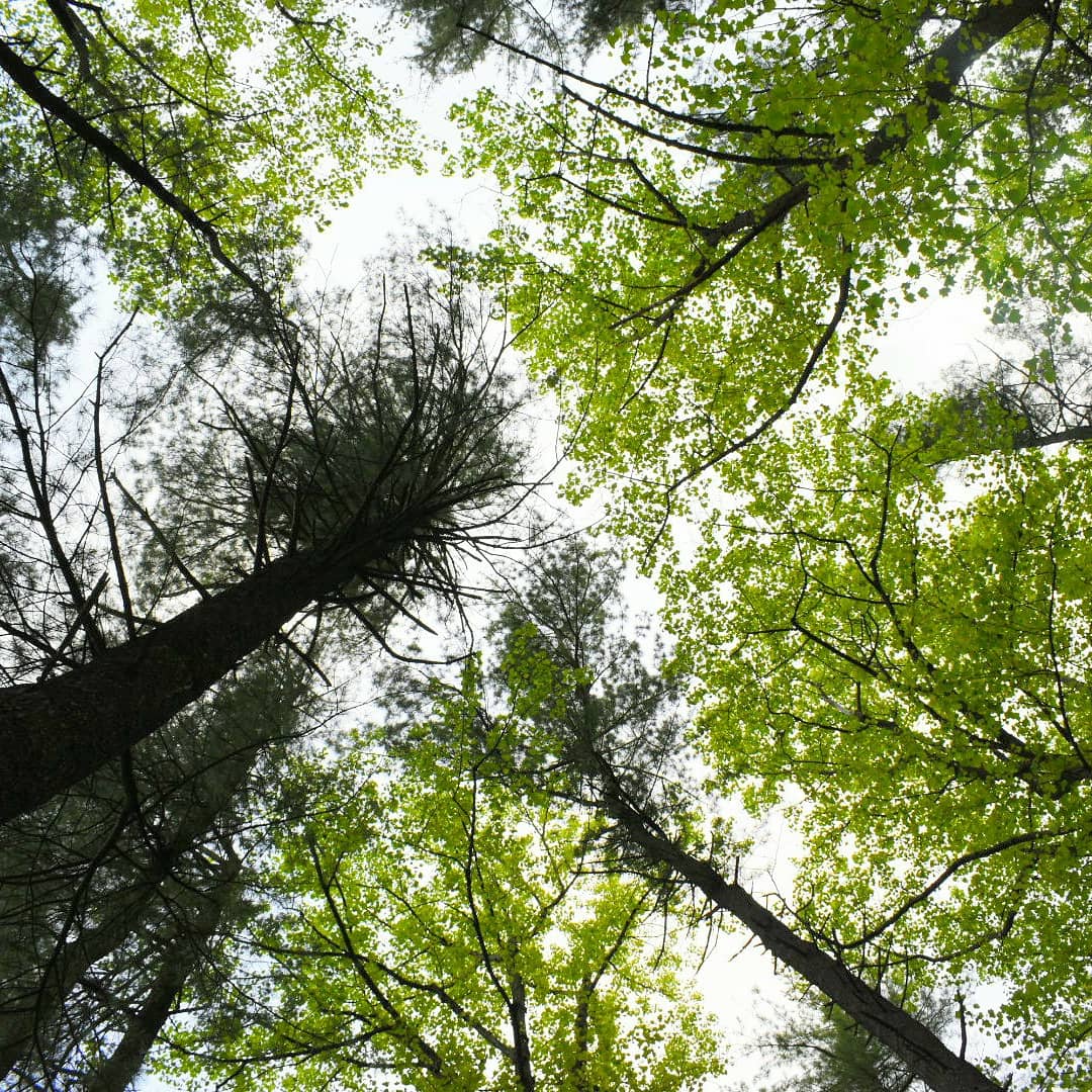 Cowans Gap State Park