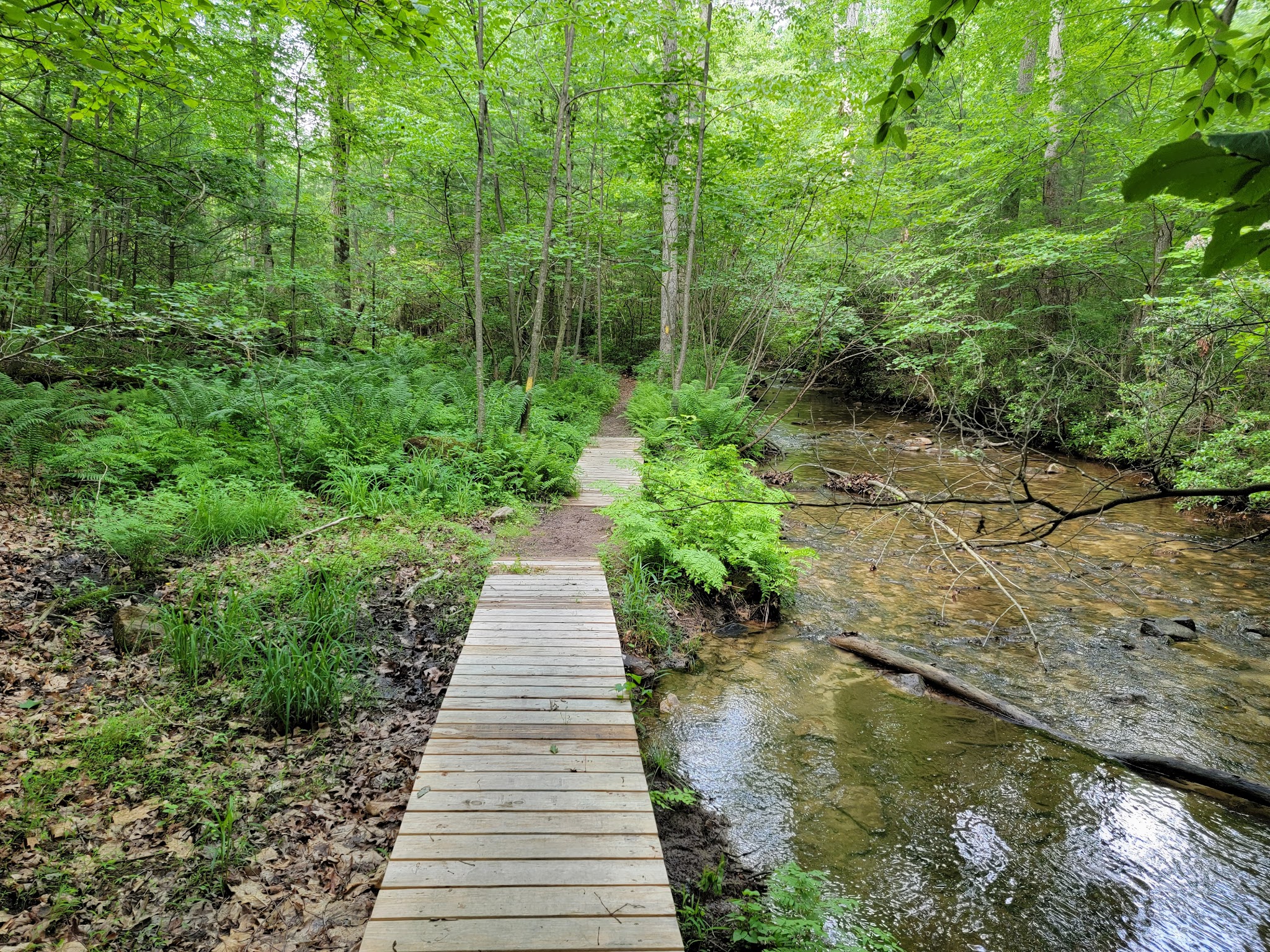 Cowans Gap State Park