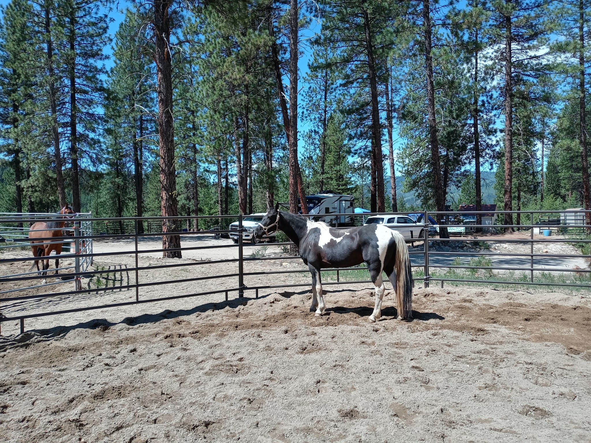 Idaho City Yurts