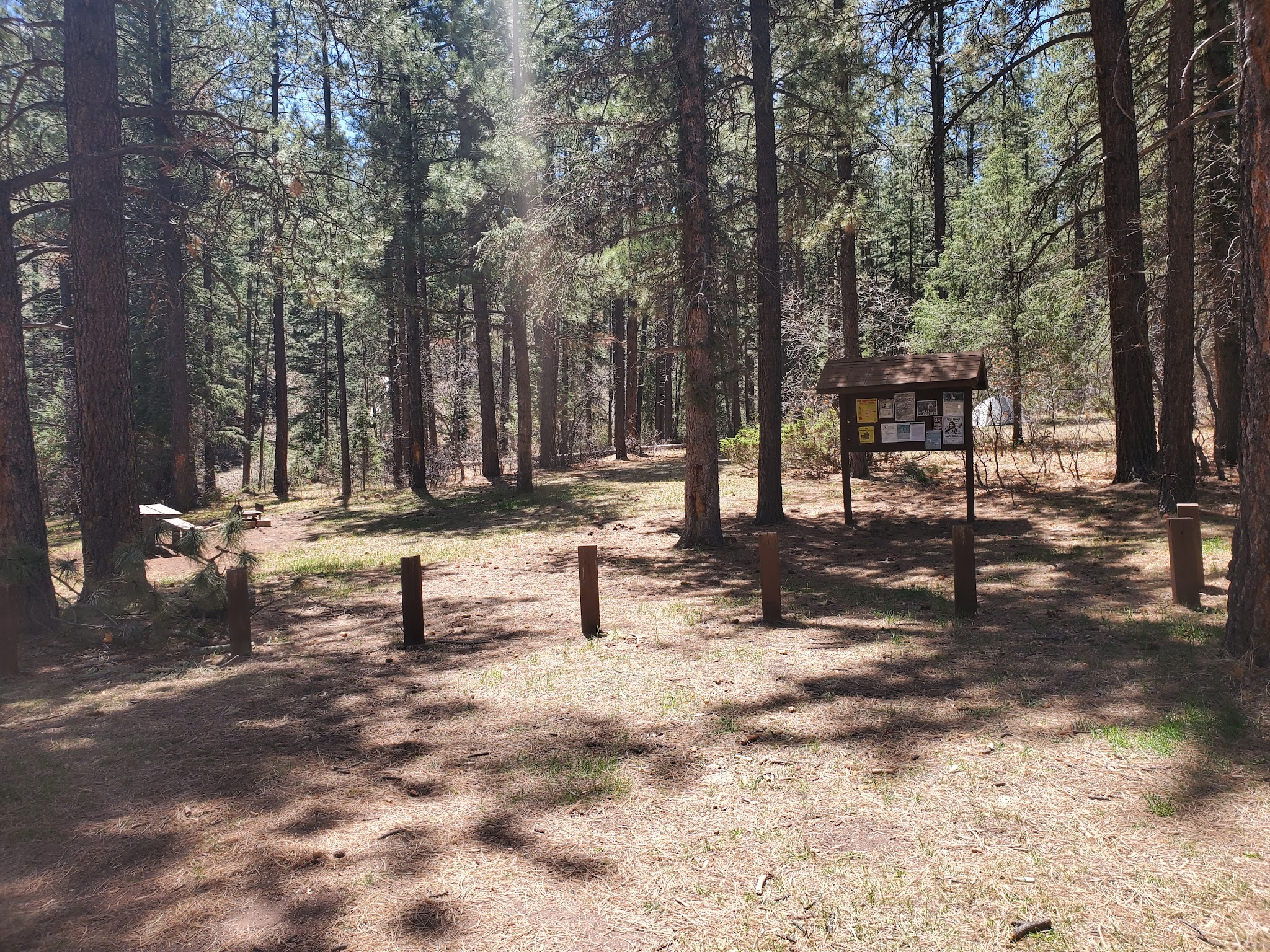 Coyote Canyon Camping Area