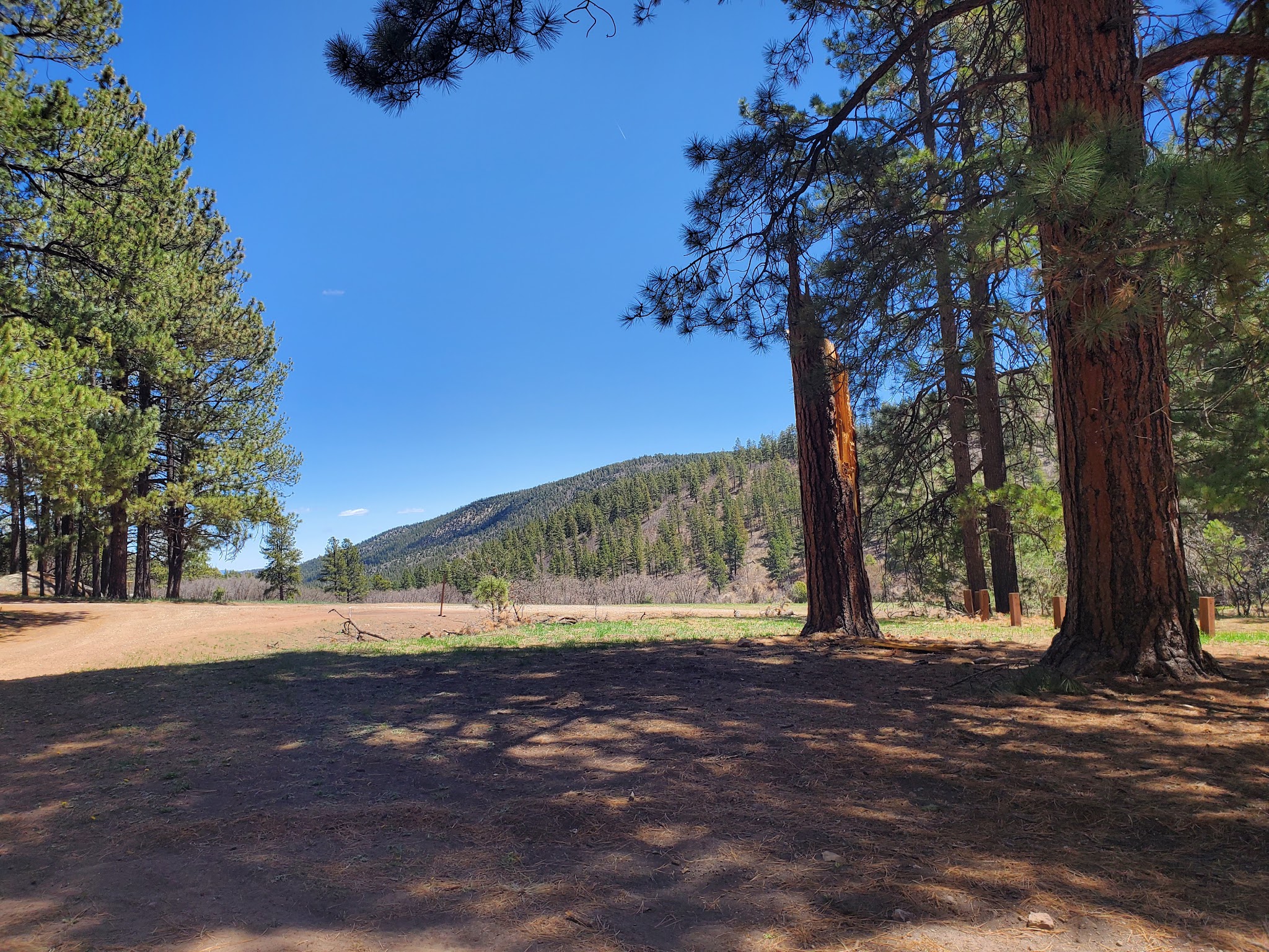 Coyote Canyon Camping Area