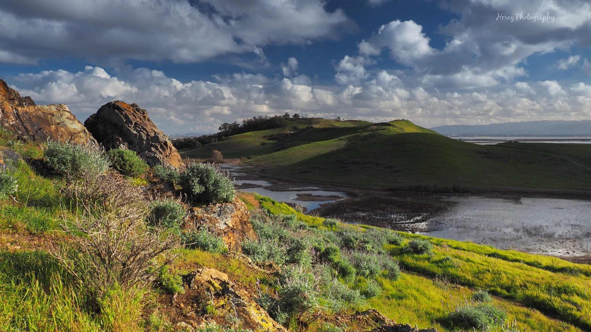 Coyote Hills Regional Park