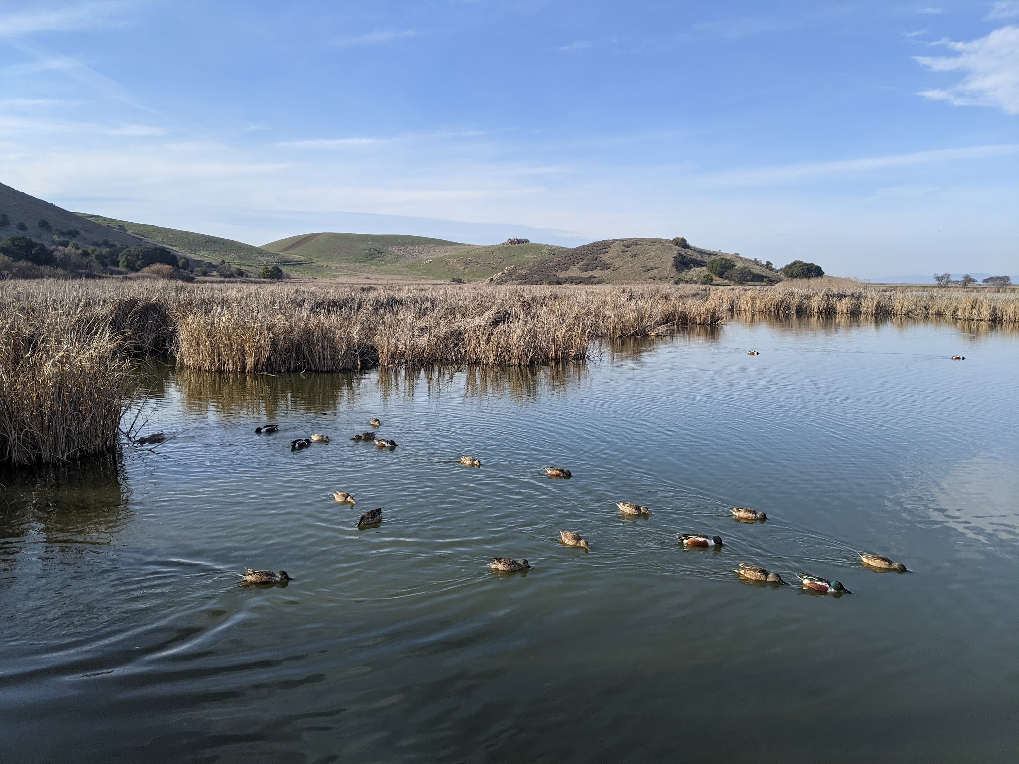 Coyote Hills Regional Park