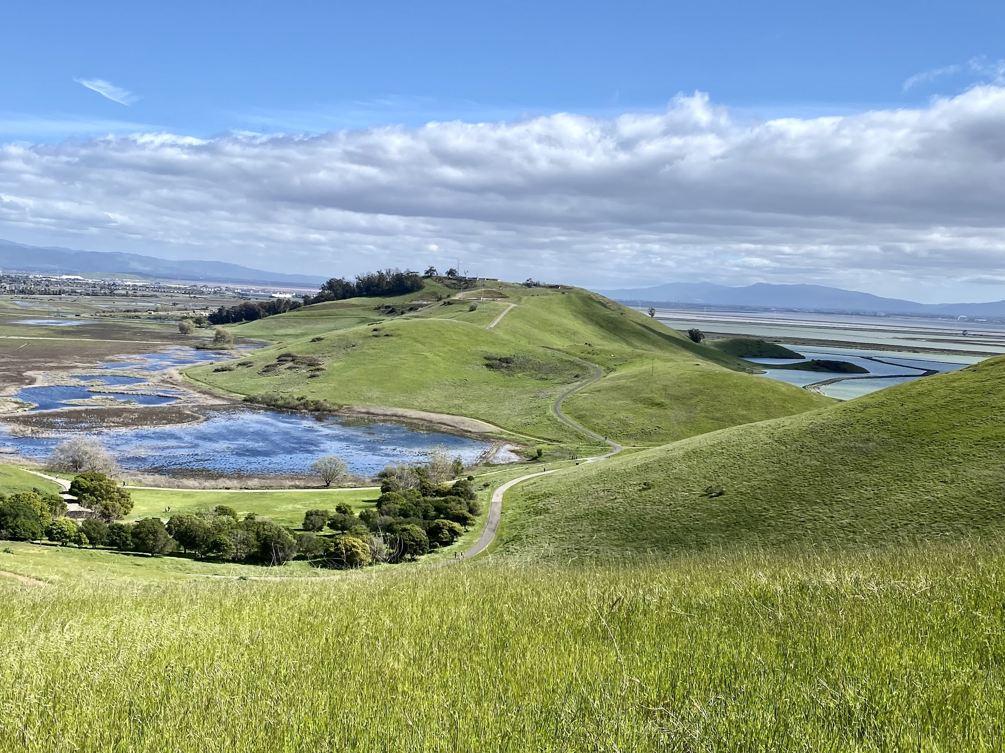 Coyote Hills Regional Park