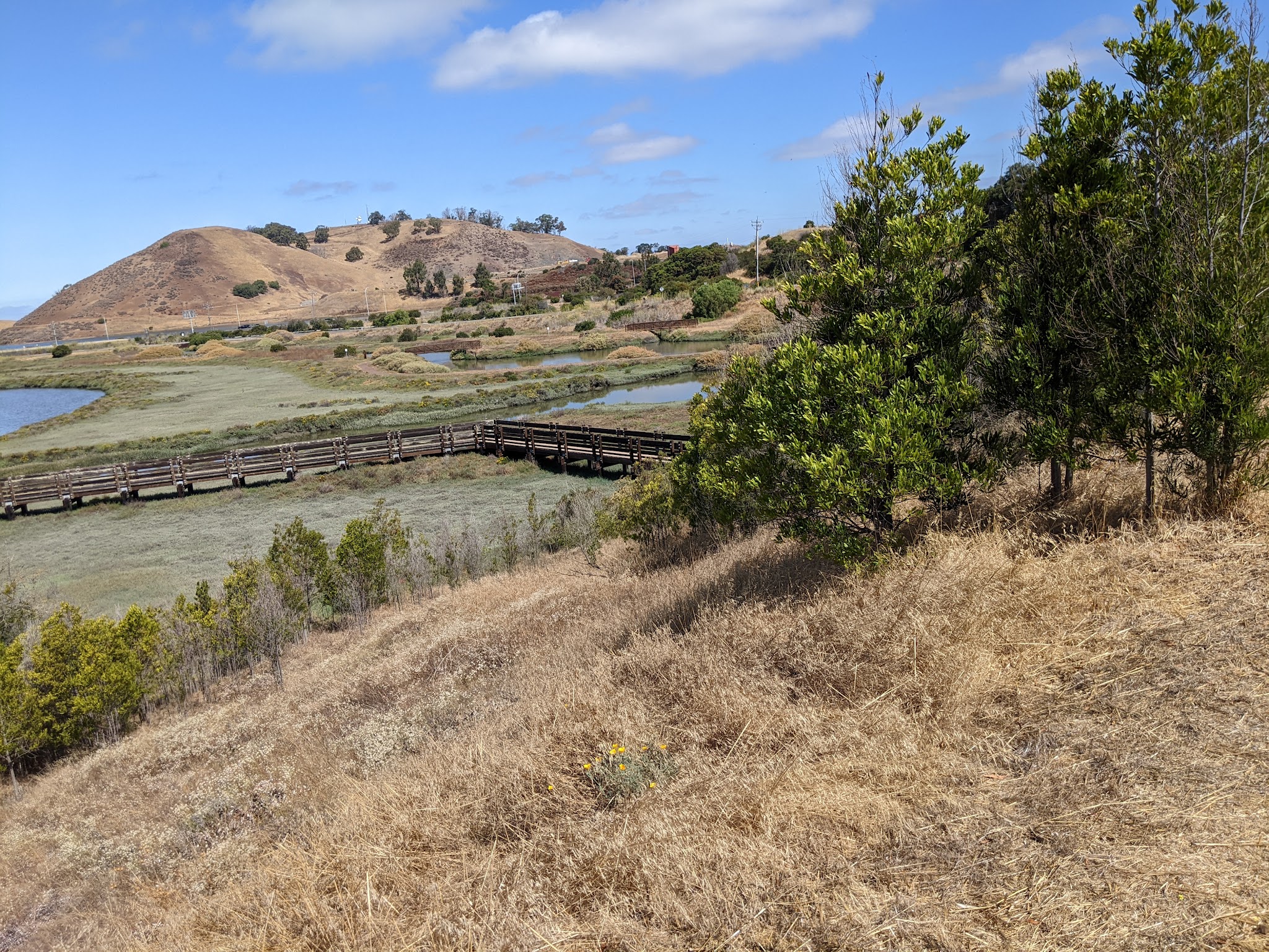 Coyote Hills Regional Park