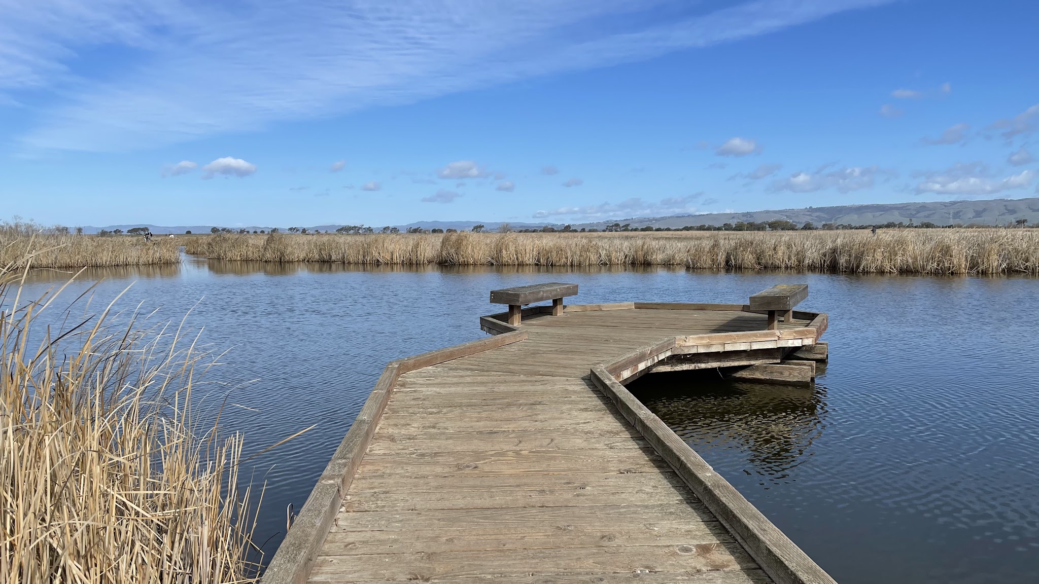 Coyote Hills Regional Park