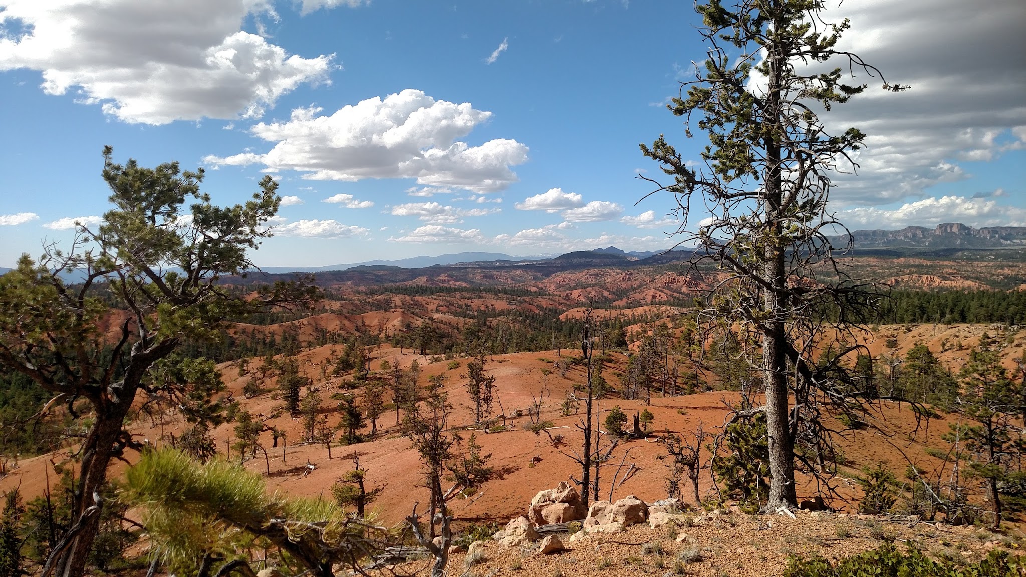 Coyote Hollow Equestrian Campground