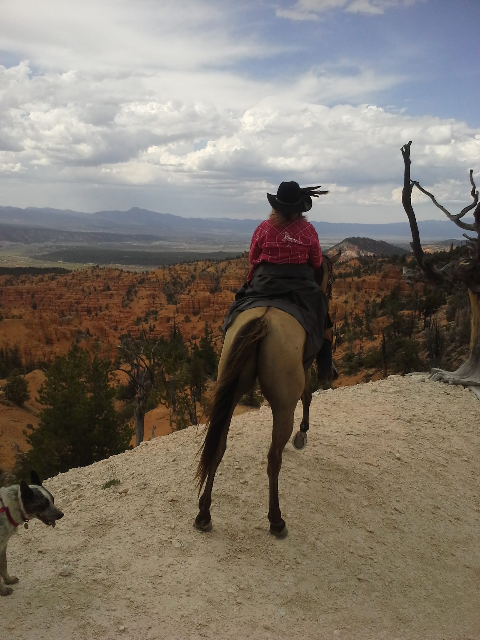 Coyote Hollow Equestrian Campground