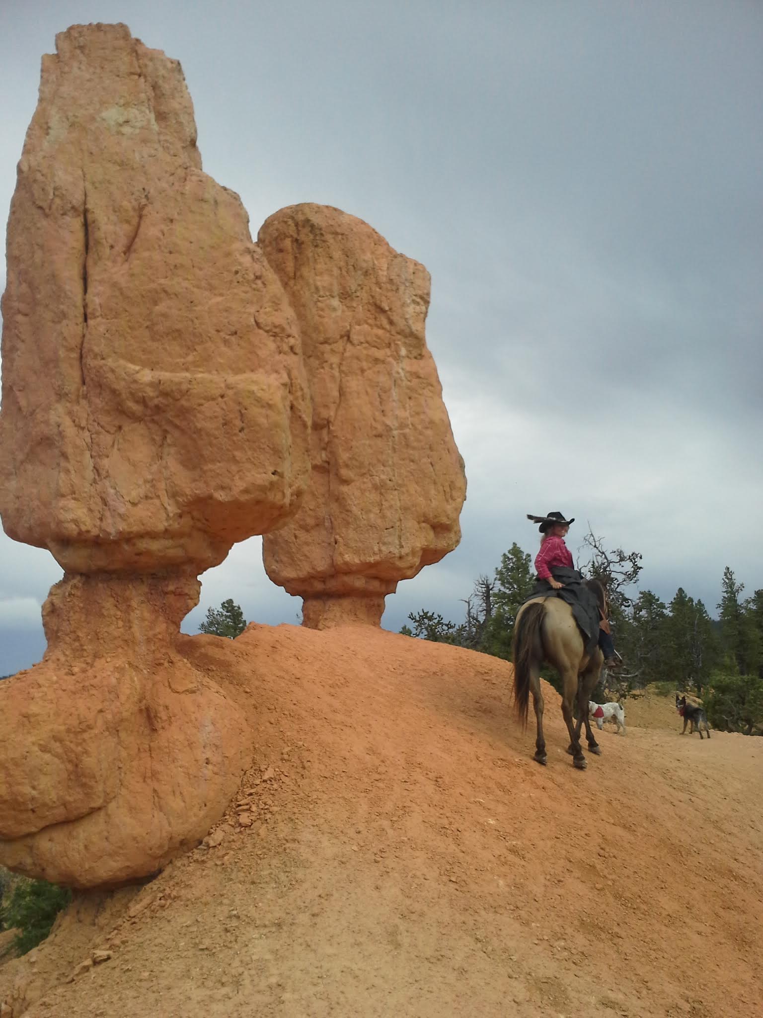 Coyote Hollow Equestrian Campground