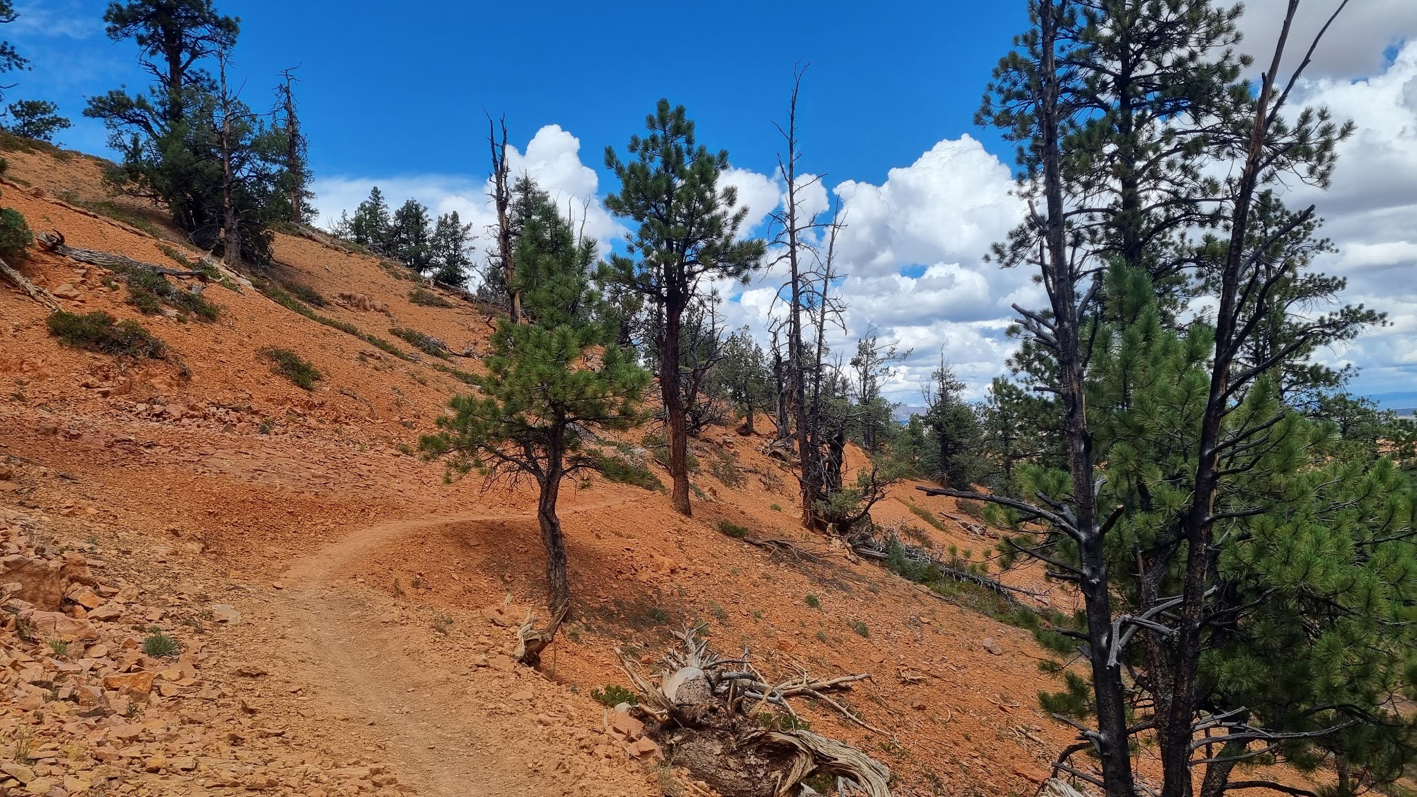 Coyote Hollow Equestrian Campground
