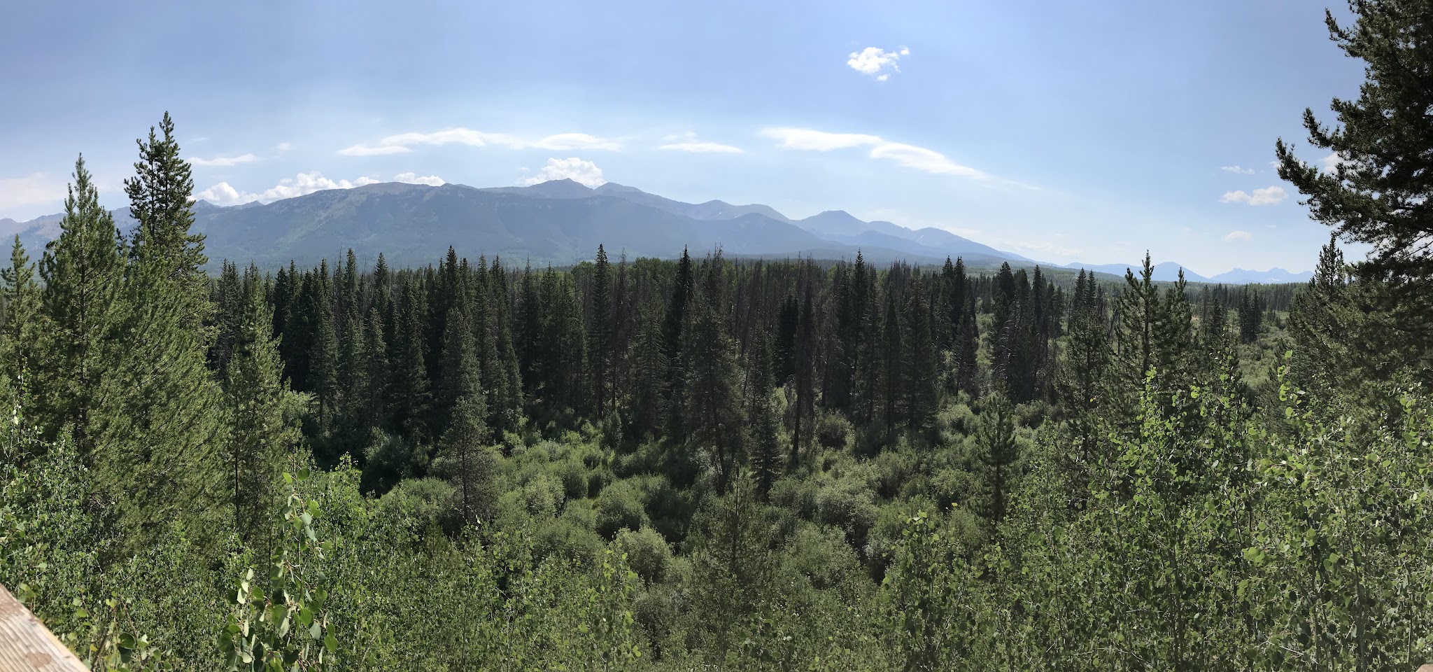 Bighorn Crags Campground