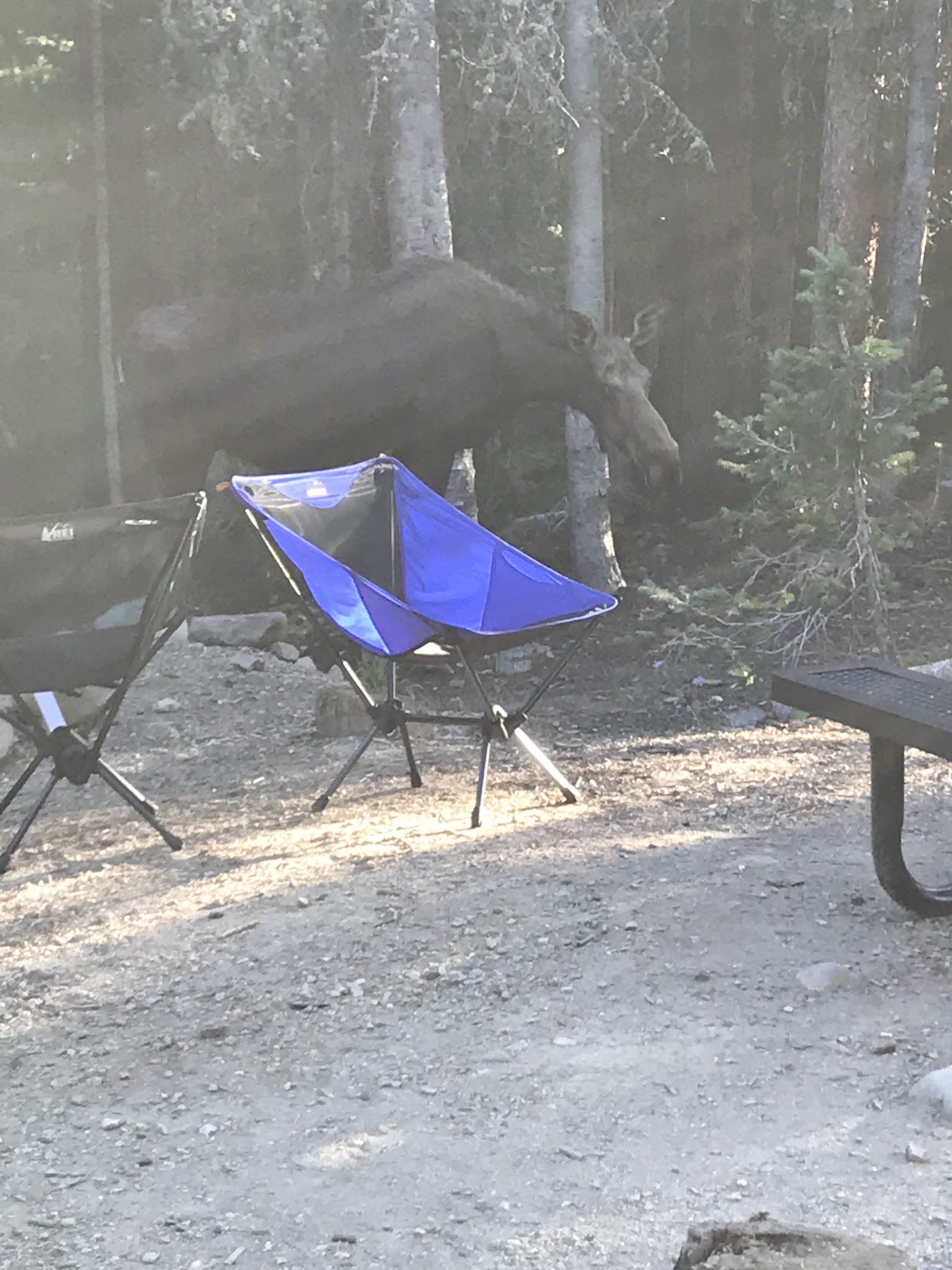 Bighorn Crags Campground