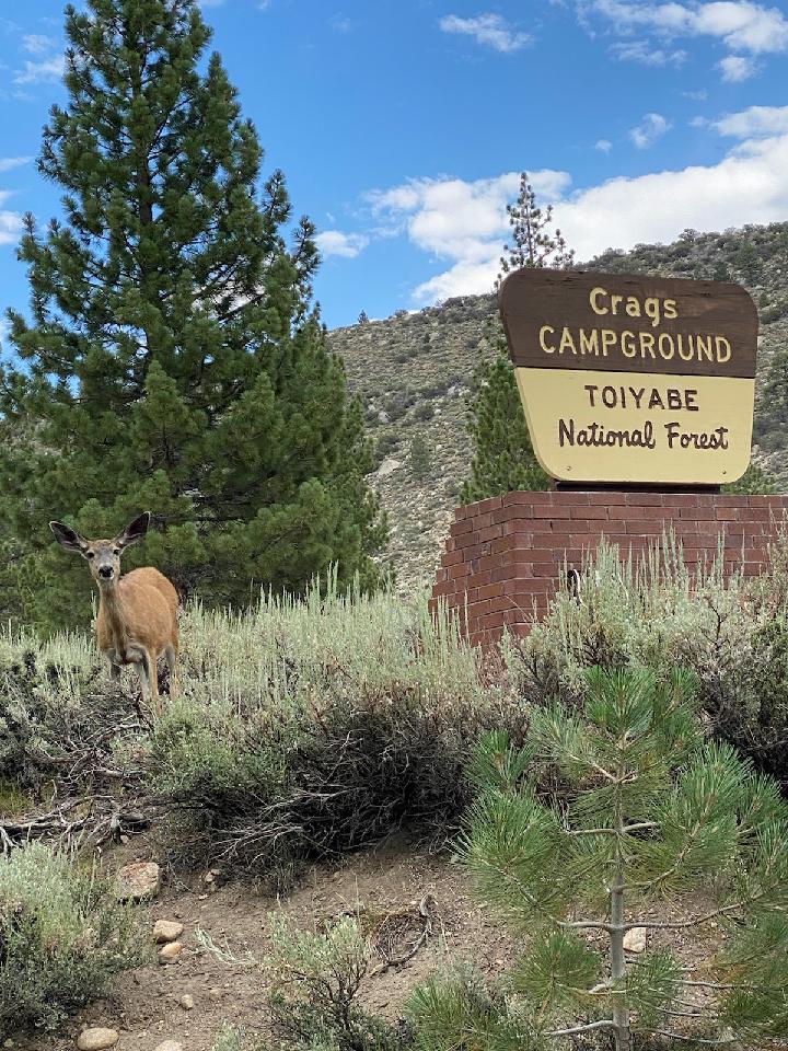 Crags Campground