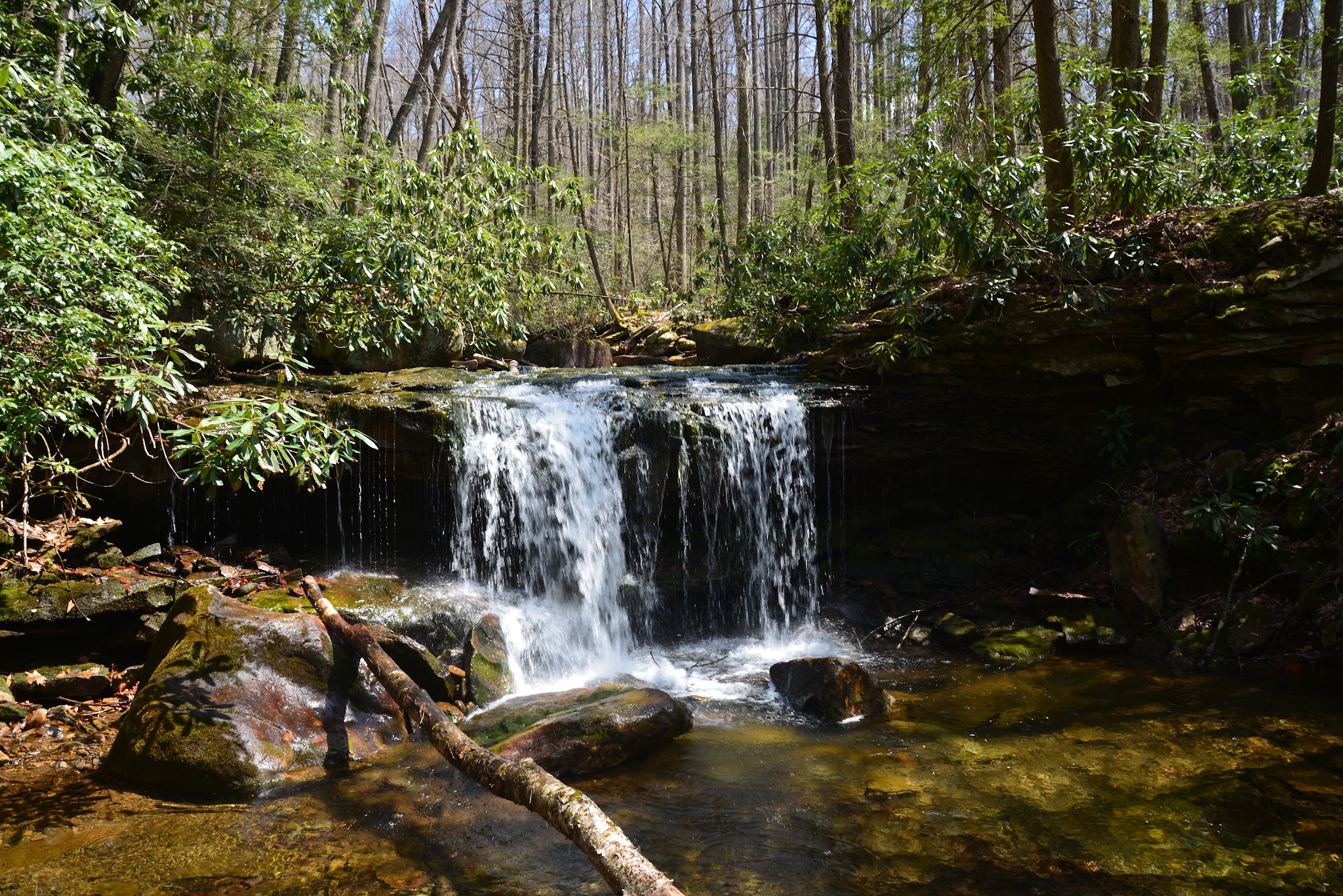 Cranberry Campground