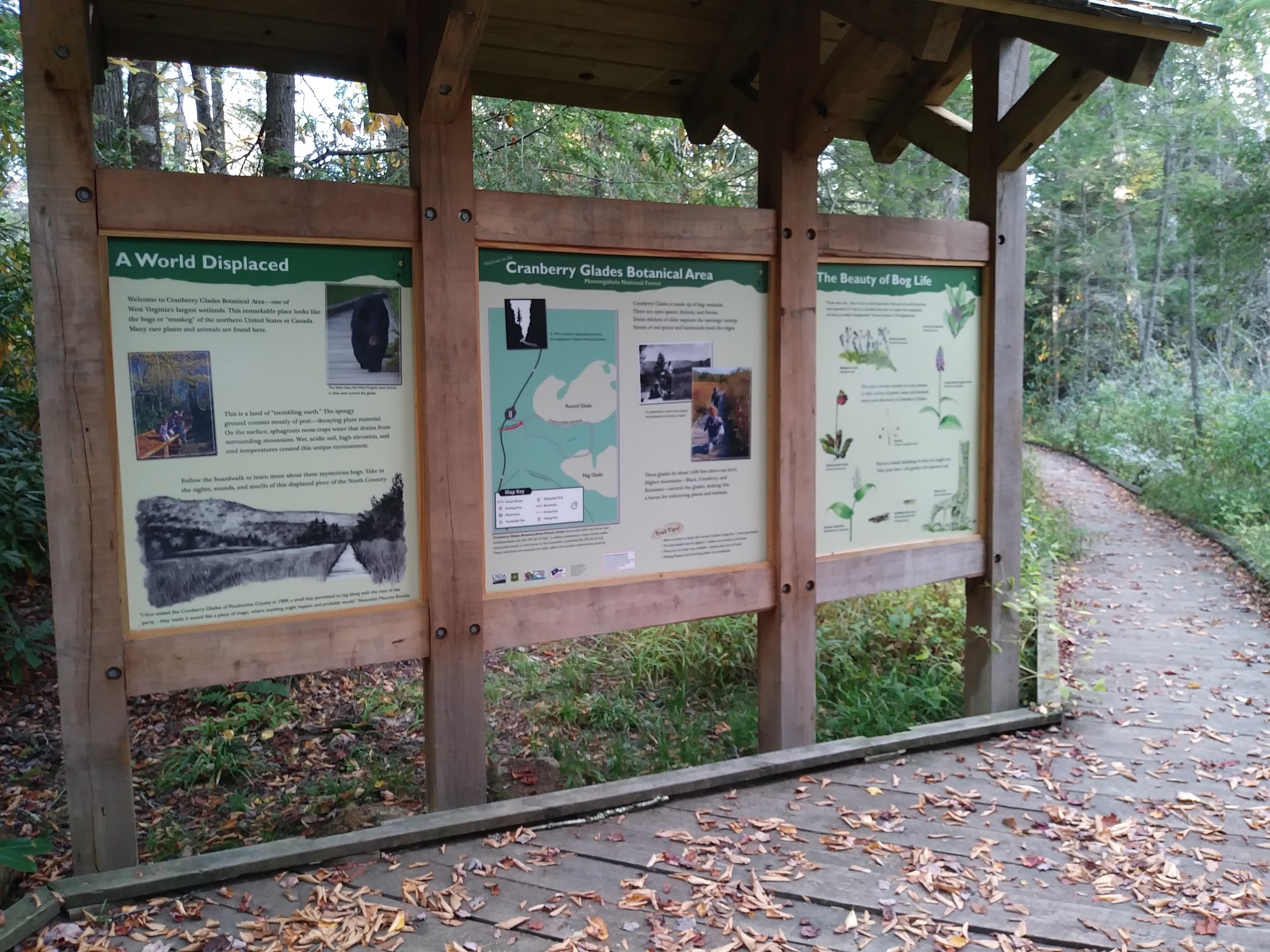 Cranberry Glades Botanical Area