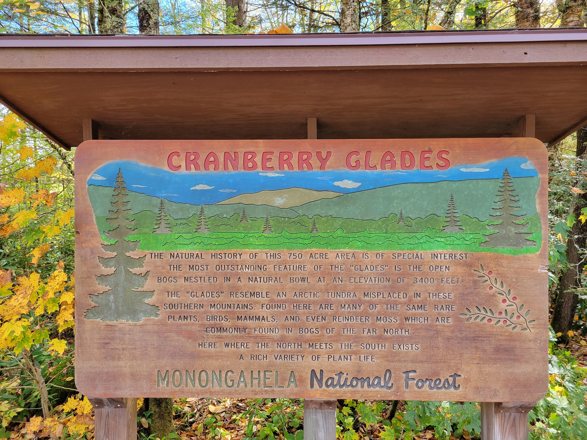 Cranberry Glades Botanical Area