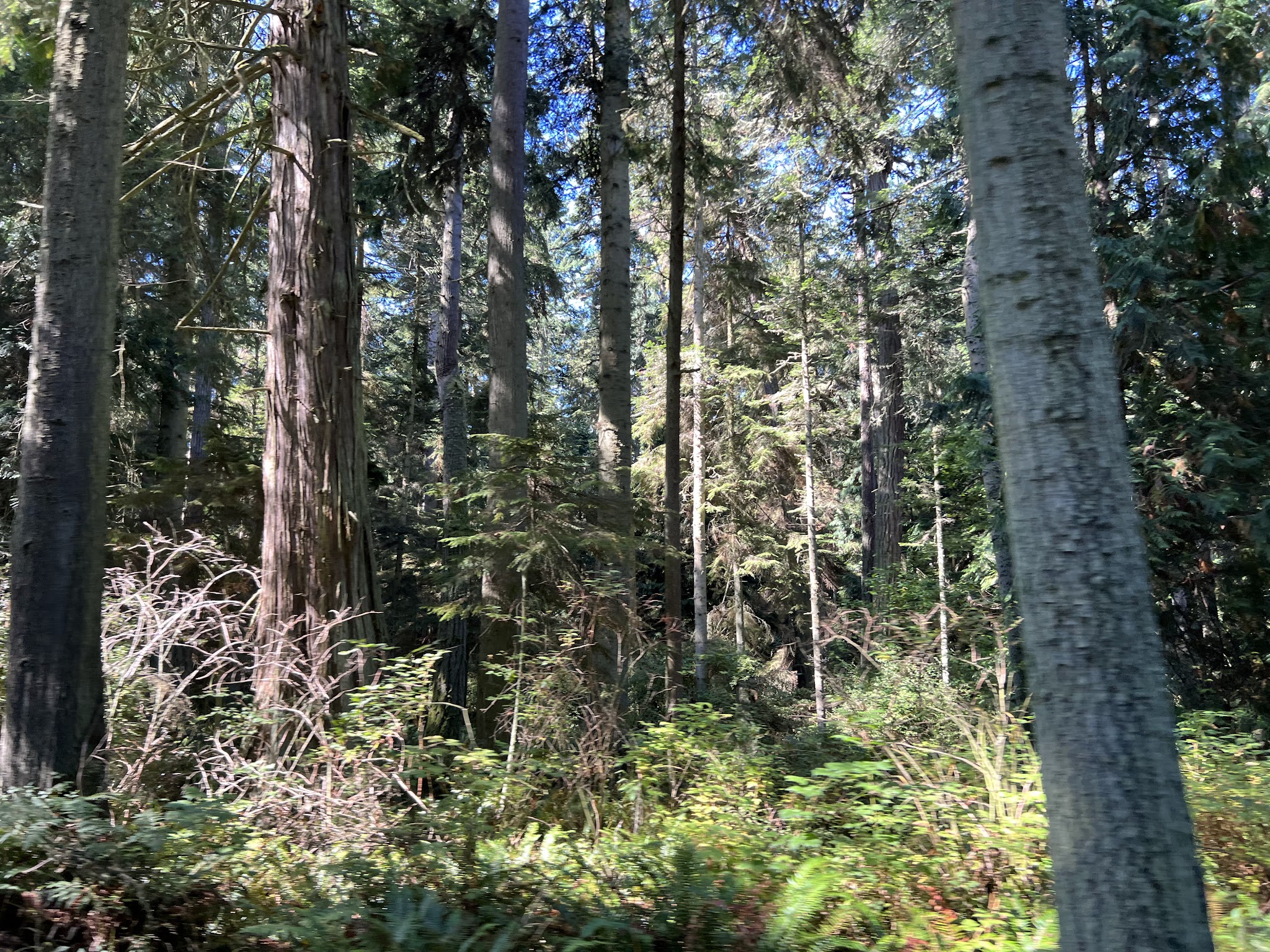 Deception Pass State Park