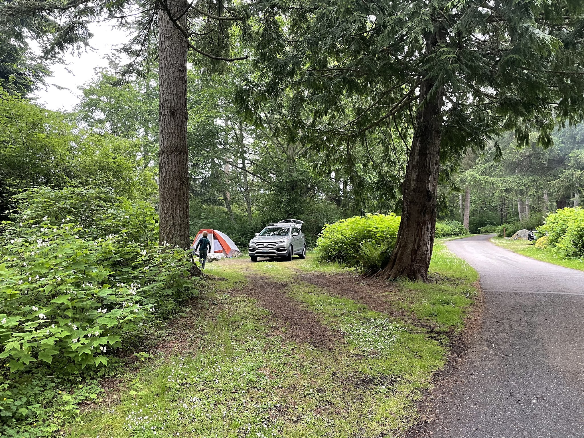 Deception Pass State Park