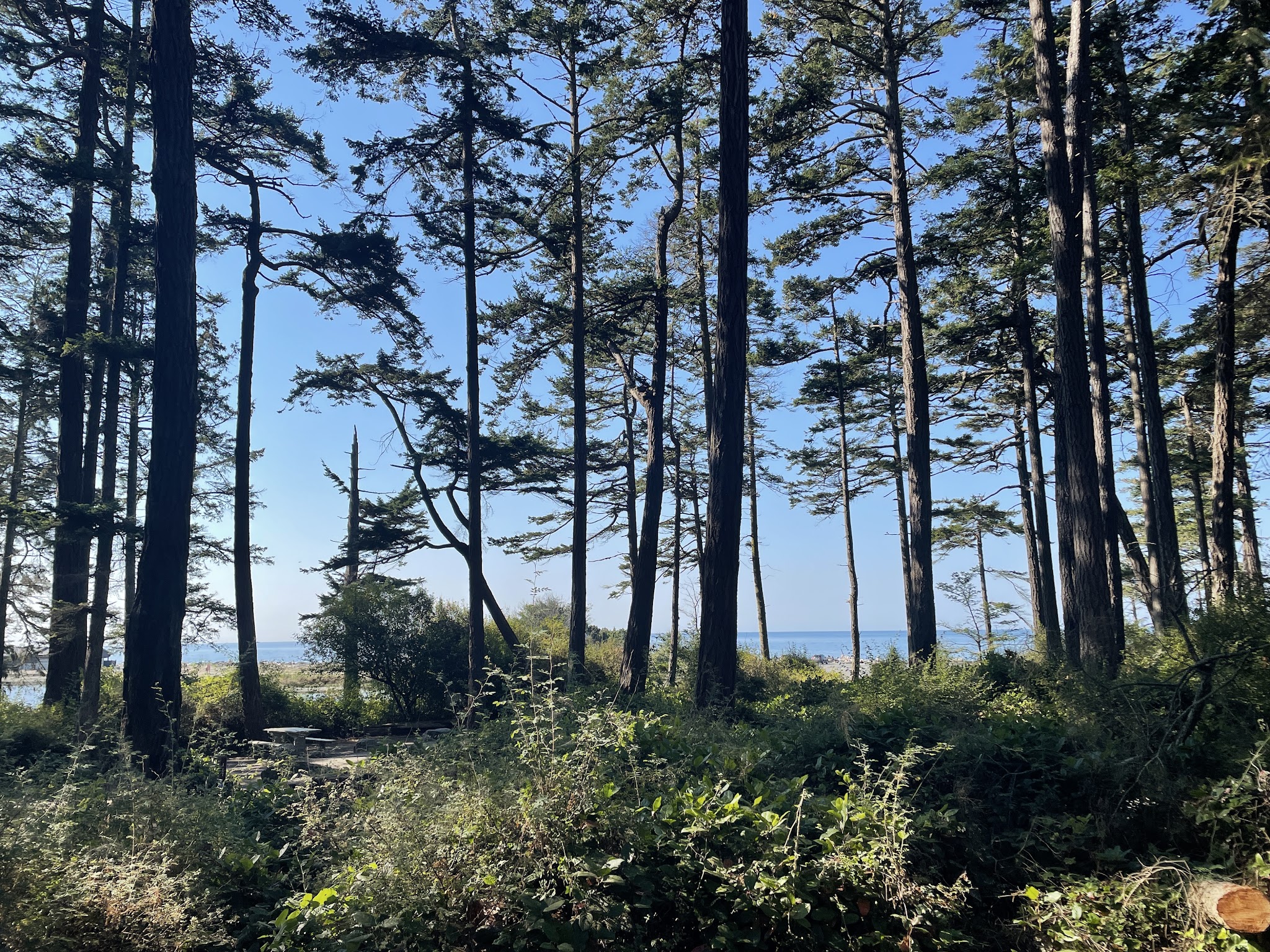 Deception Pass State Park