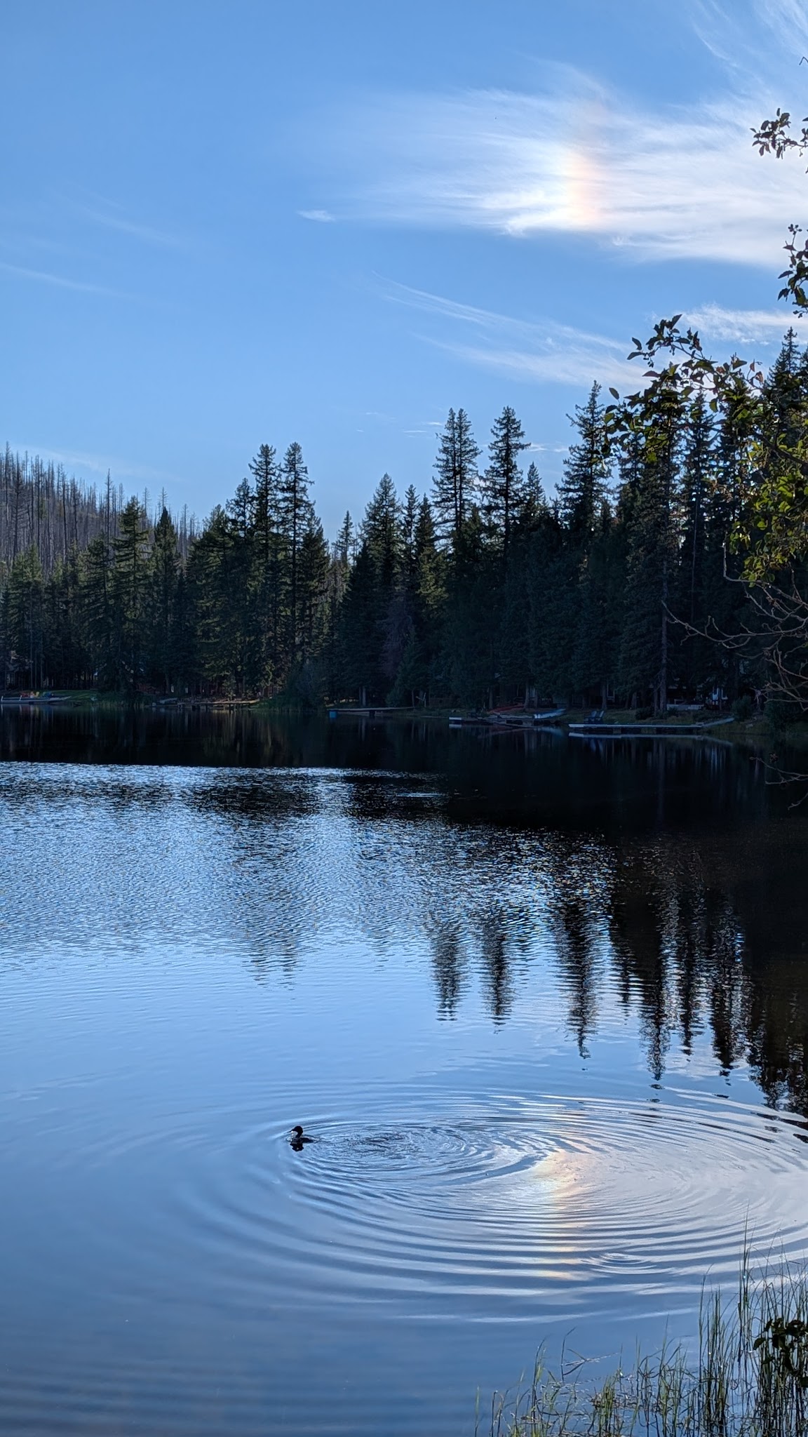Crawfish Lake Campground