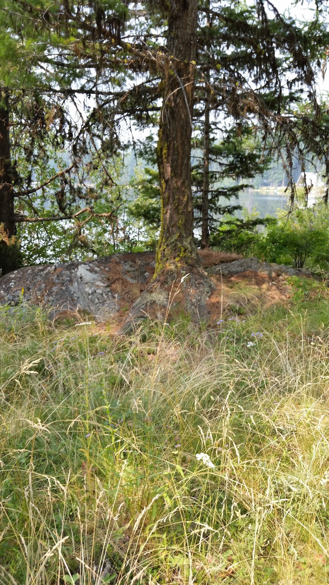 Crawfish Lake Campground