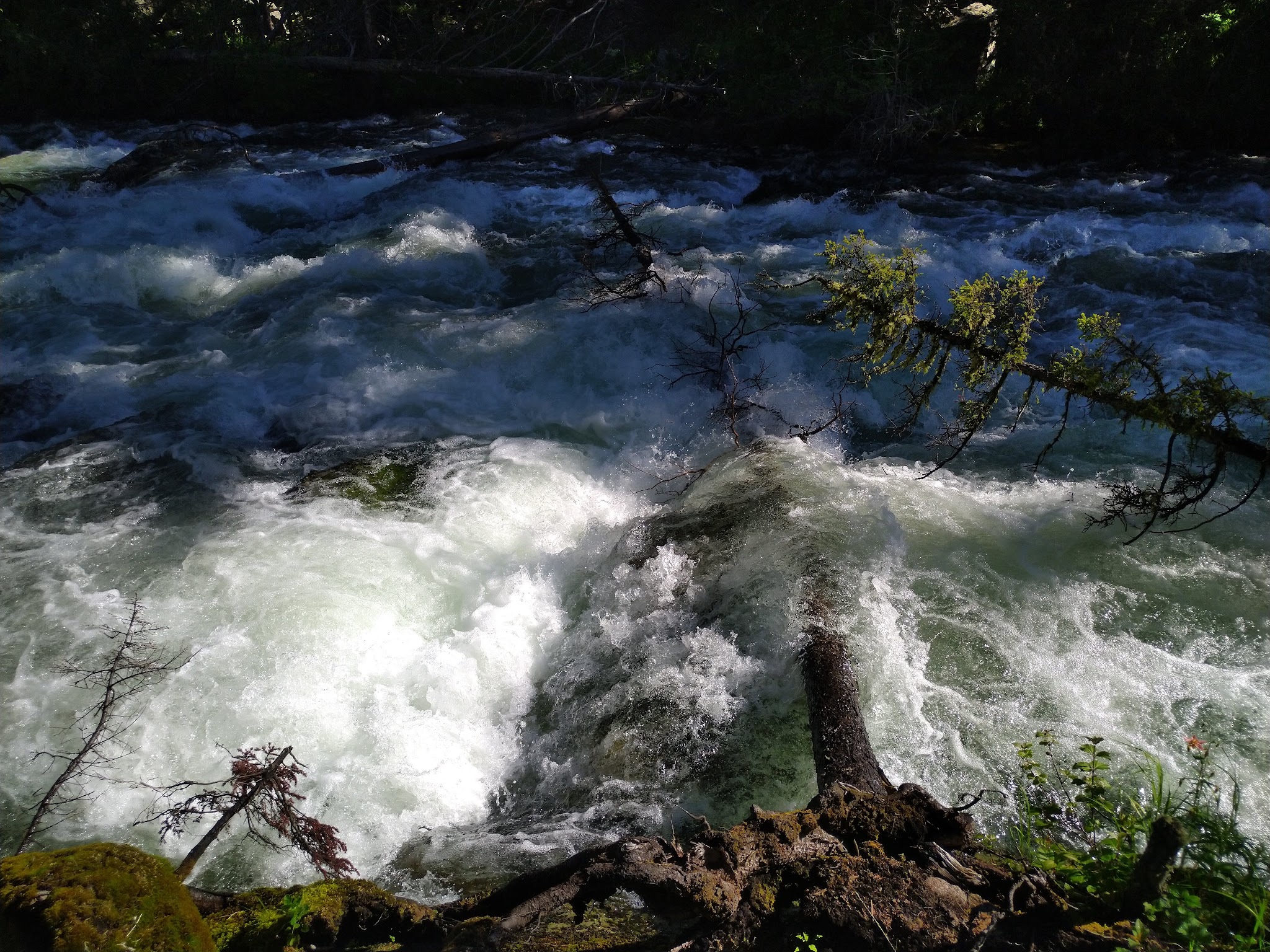 Crazy Creek Campground
