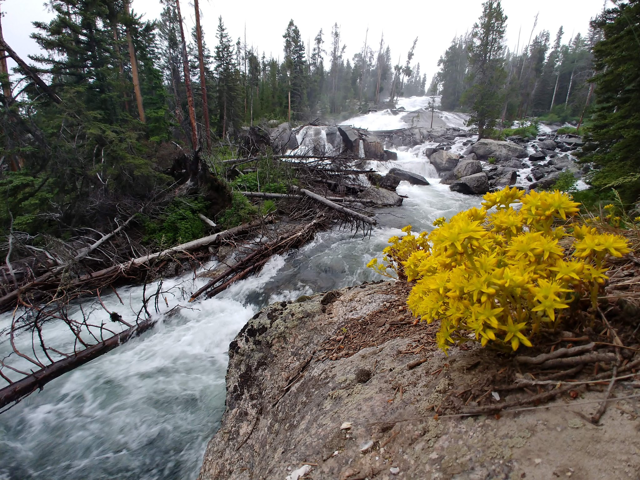 Crazy Creek Campground