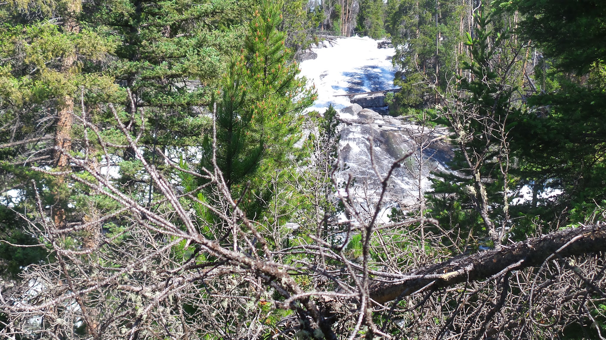 Crazy Creek Campground