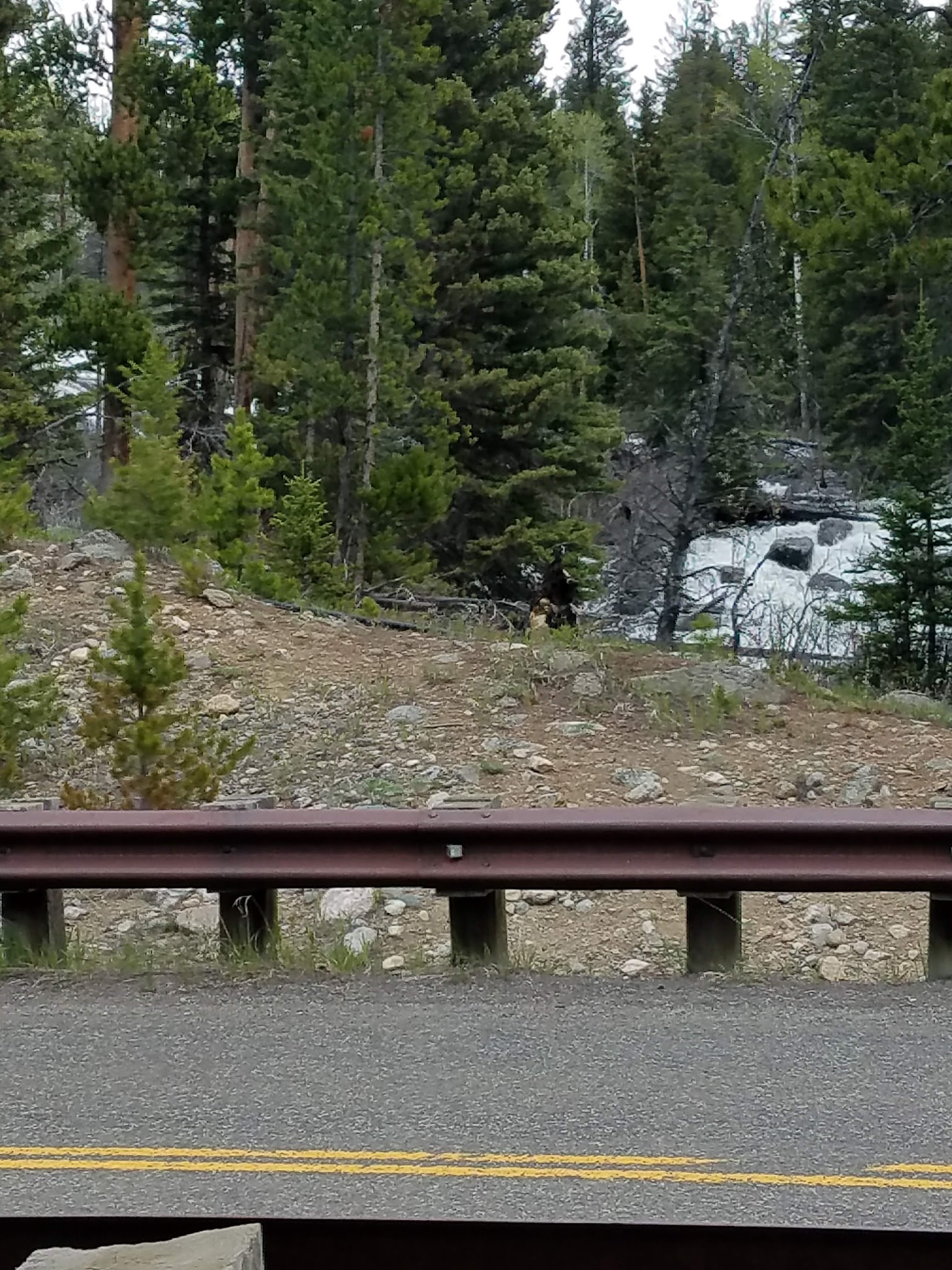 Crazy Creek Campground