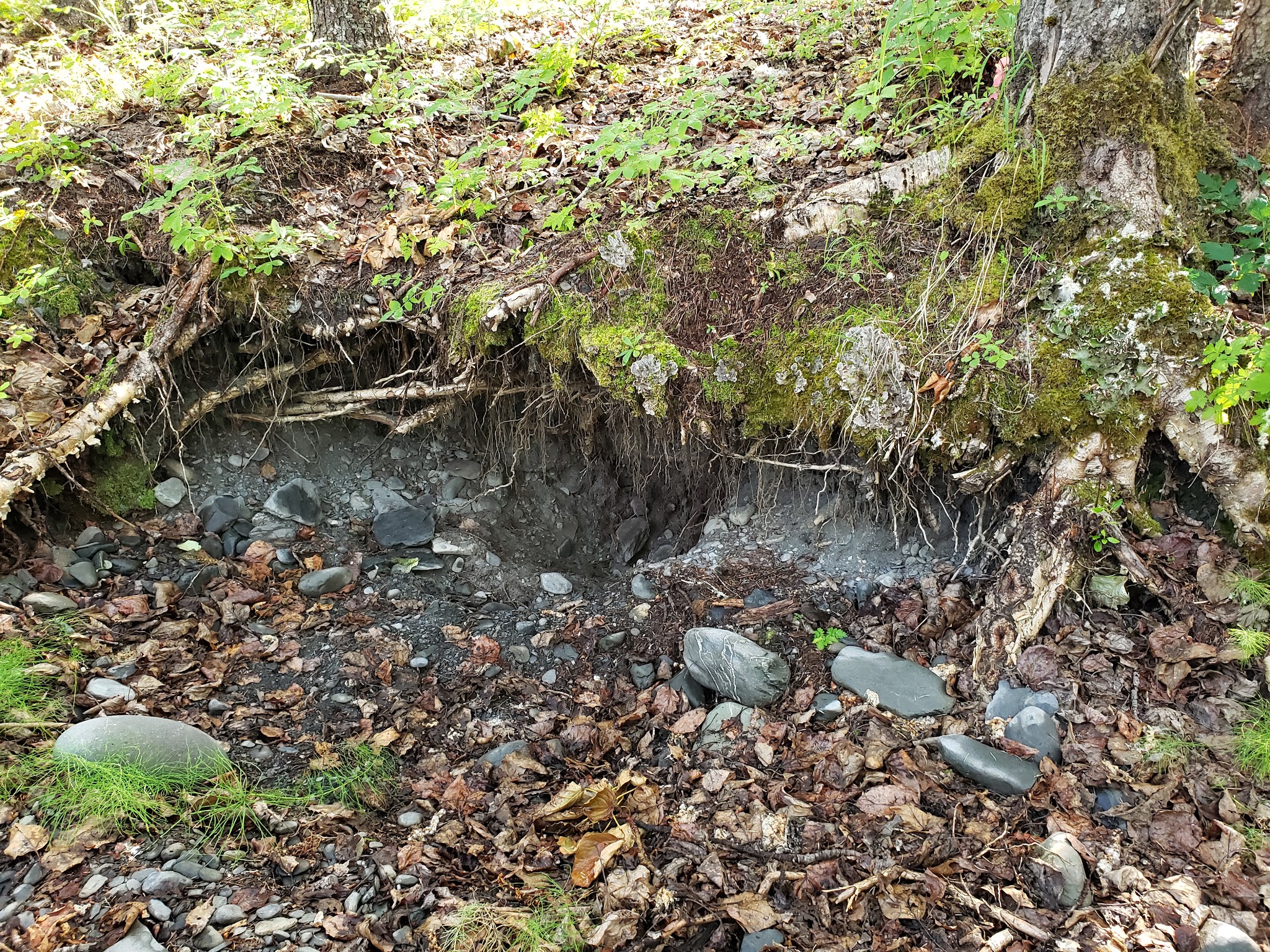 Crescent Creek Campground