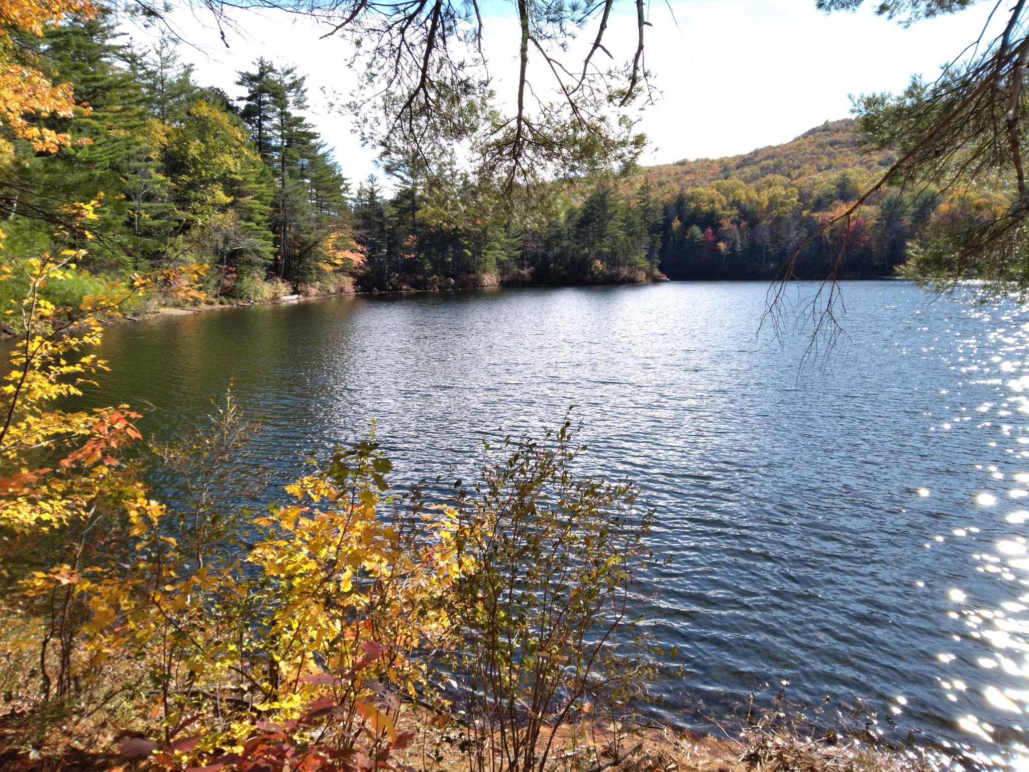 Crocker Pond Campground