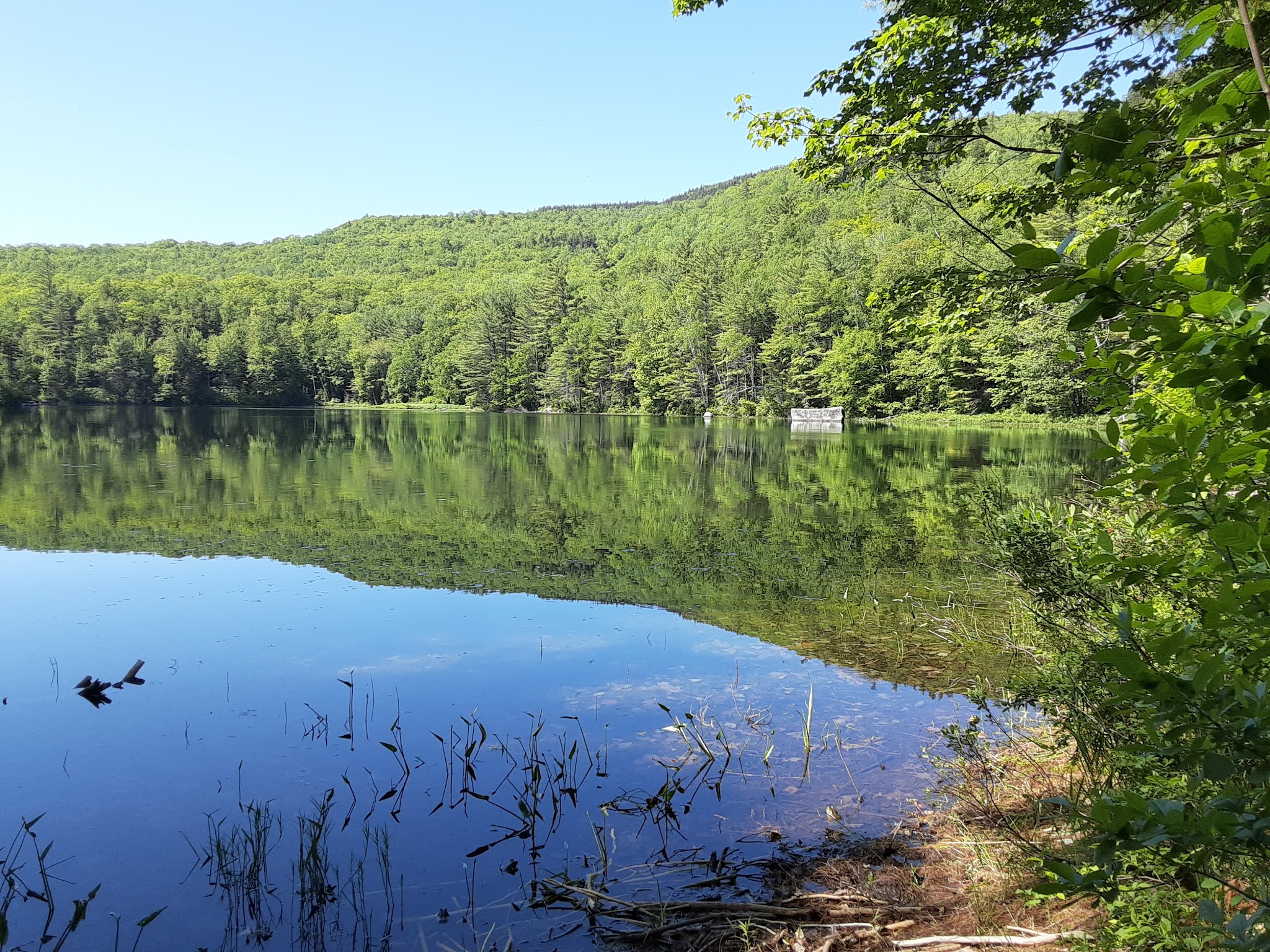 Crocker Pond Campground