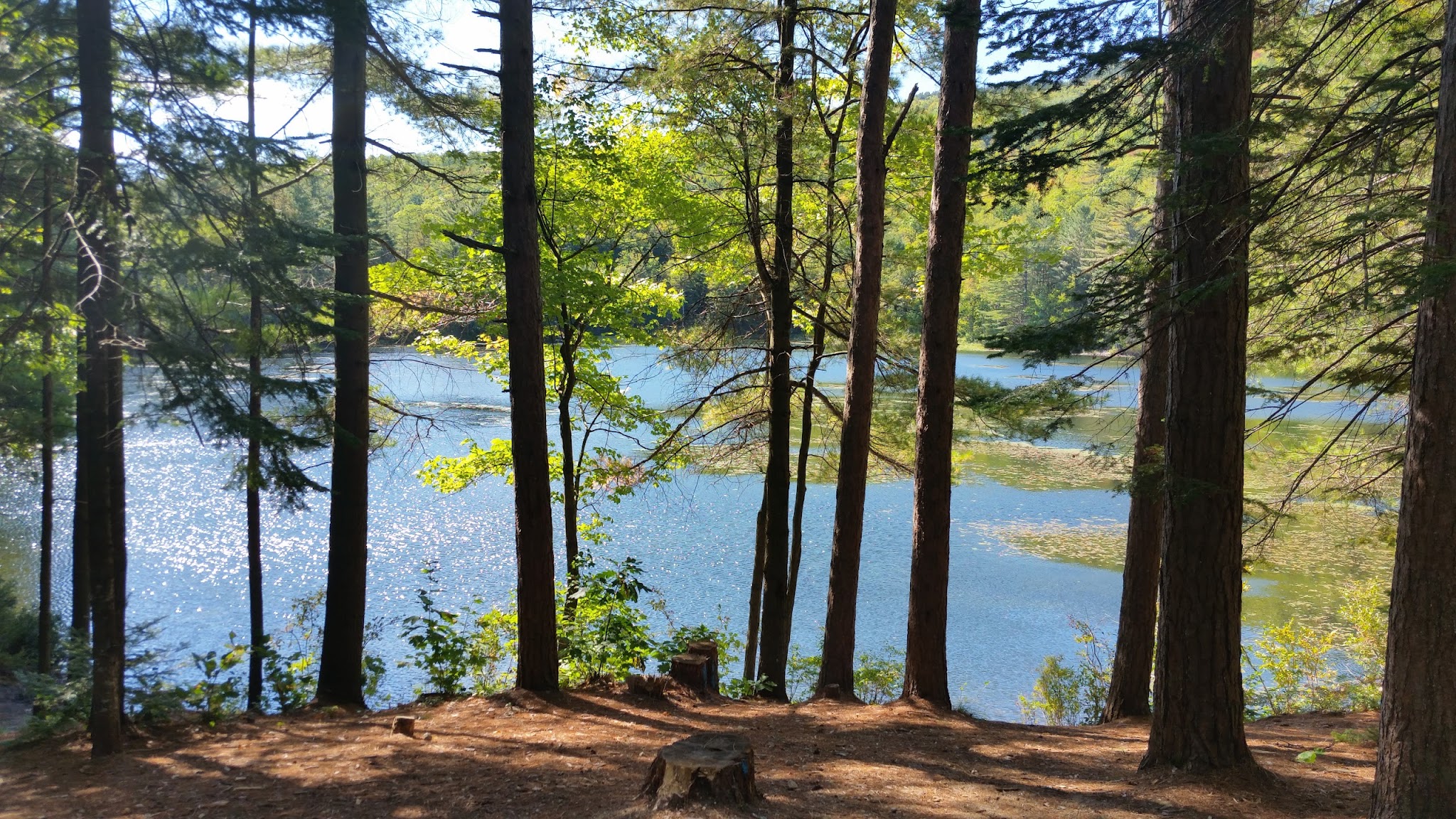 Crocker Pond Campground
