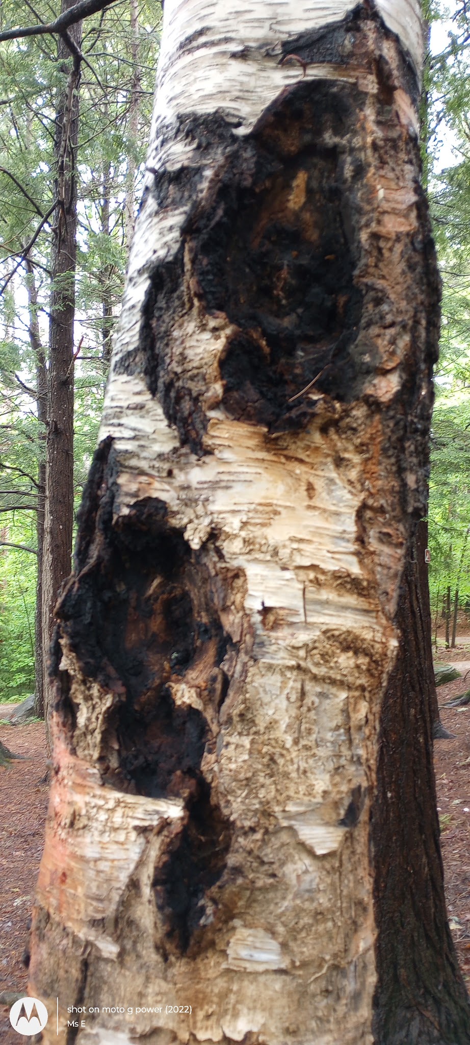 Crocker Pond Campground