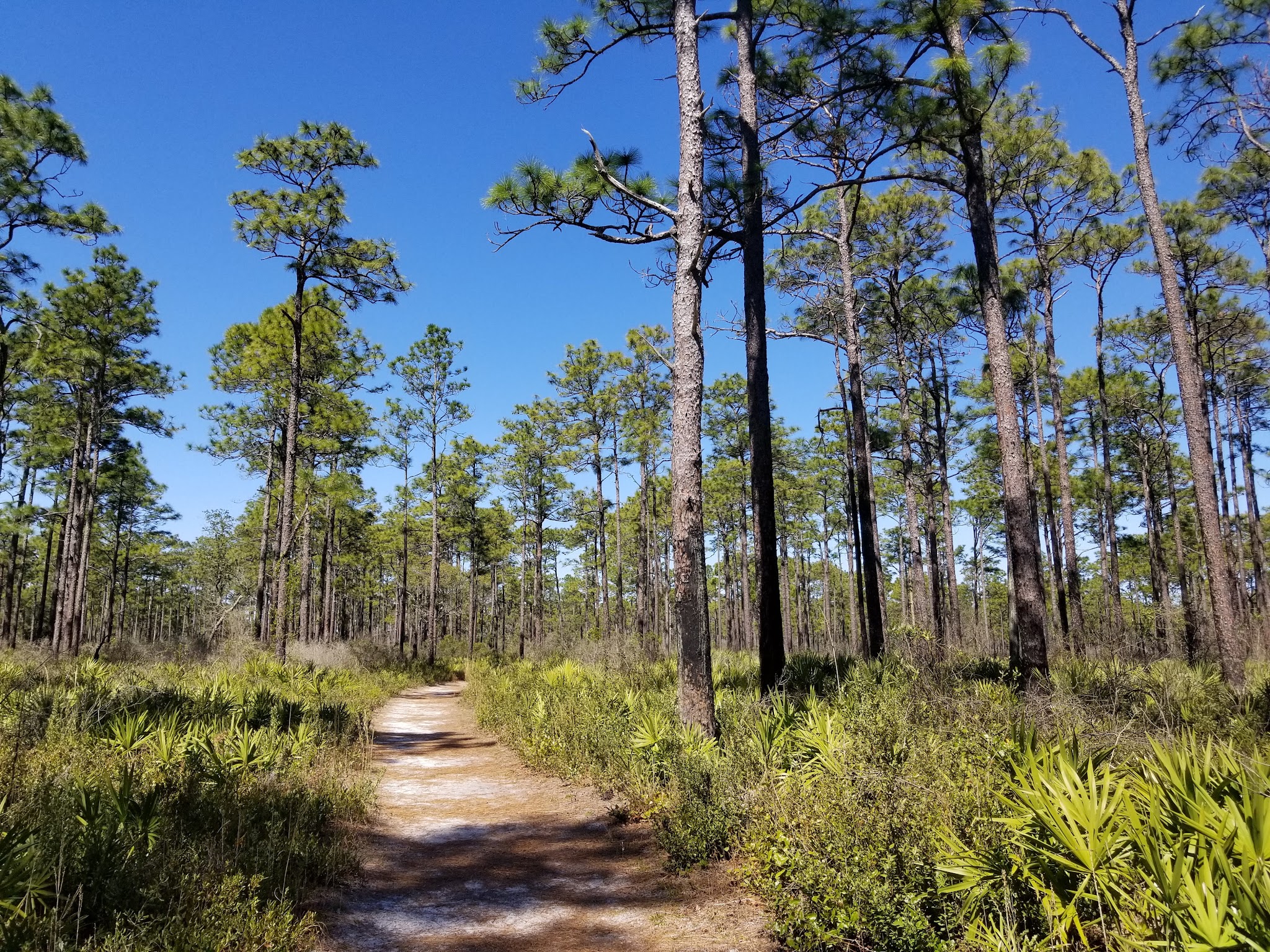 Crooked River State Park