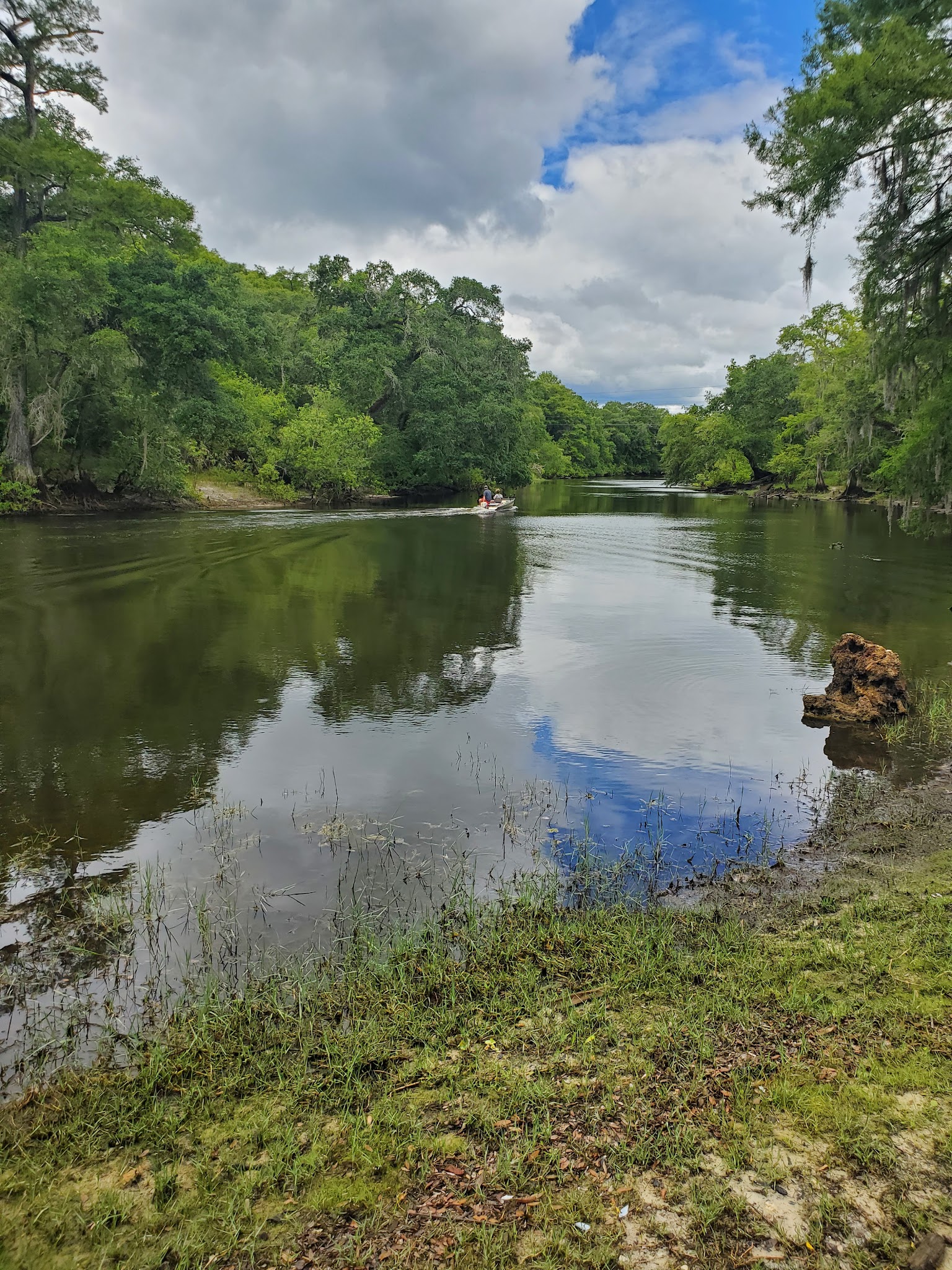 Croom Tract Primitive Camp Zone East