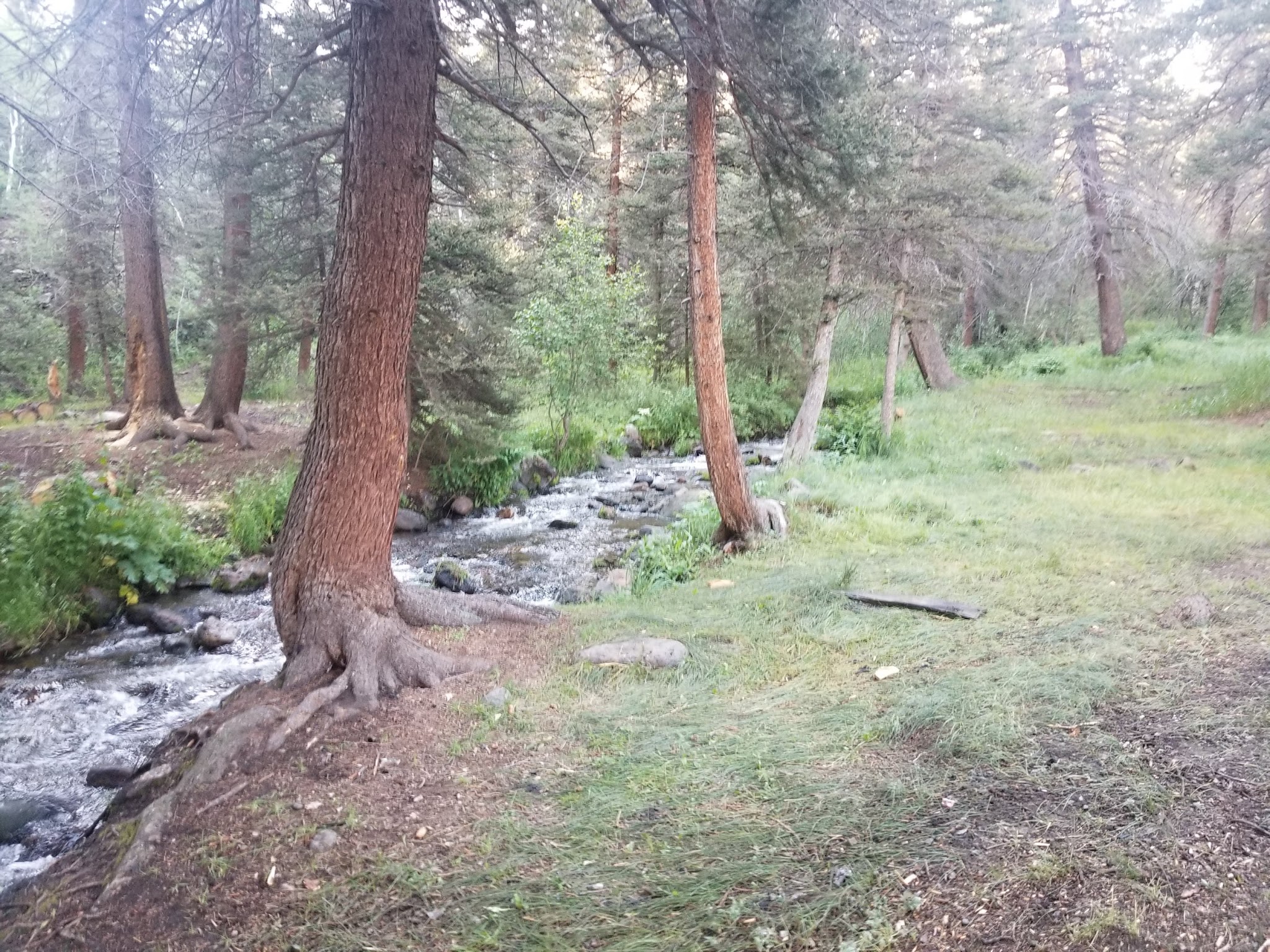 Cross Creek Campground