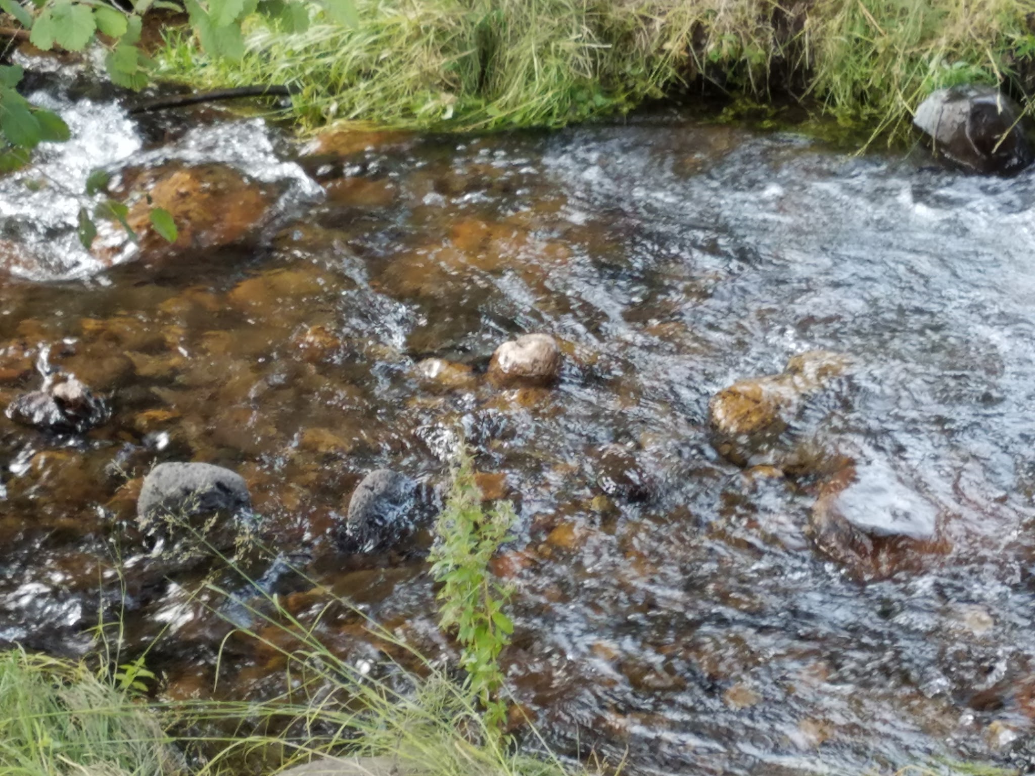 Cross Creek Campground